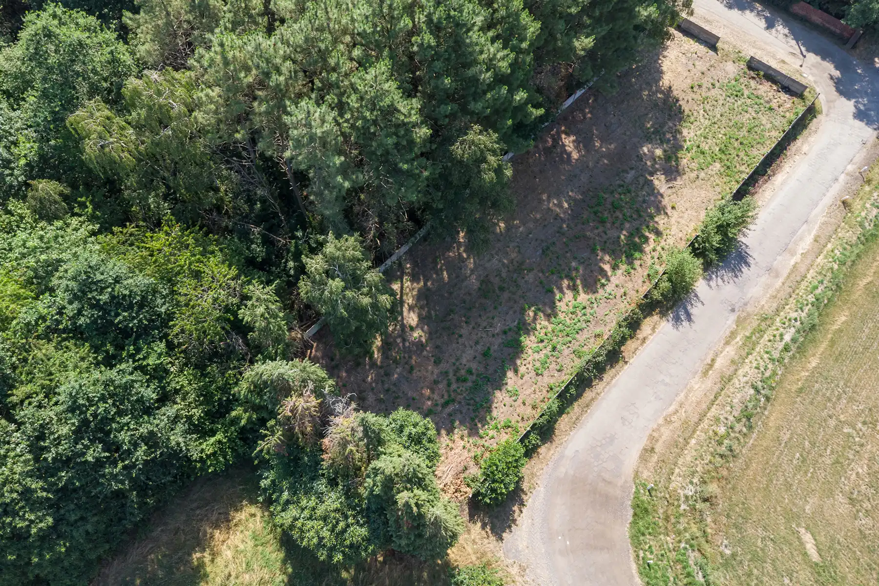 🌿WAAUW - ruimte, zon en stilte op wandelafstand v/h centrum foto 5