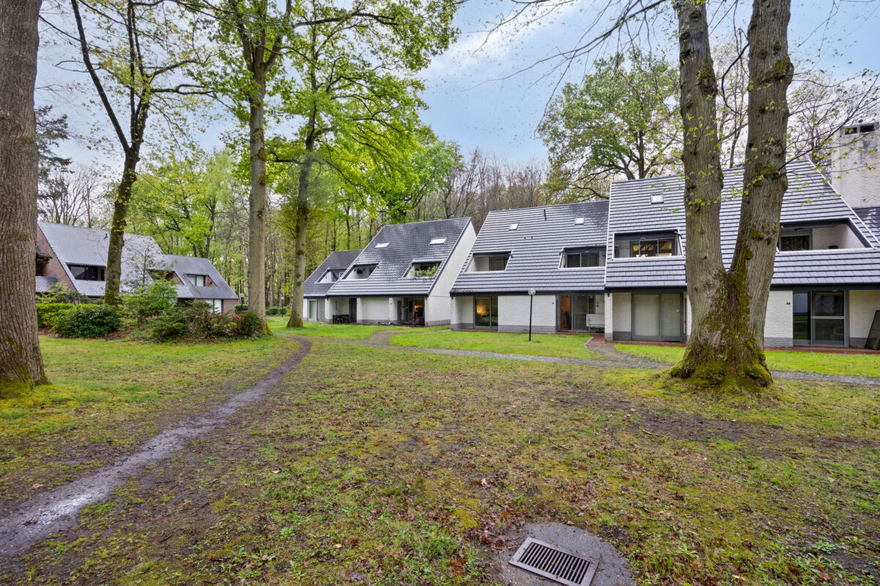 Gezellige vakantiewoning op park Hengelhoef – jouw eigen plekje in het groen foto 19
