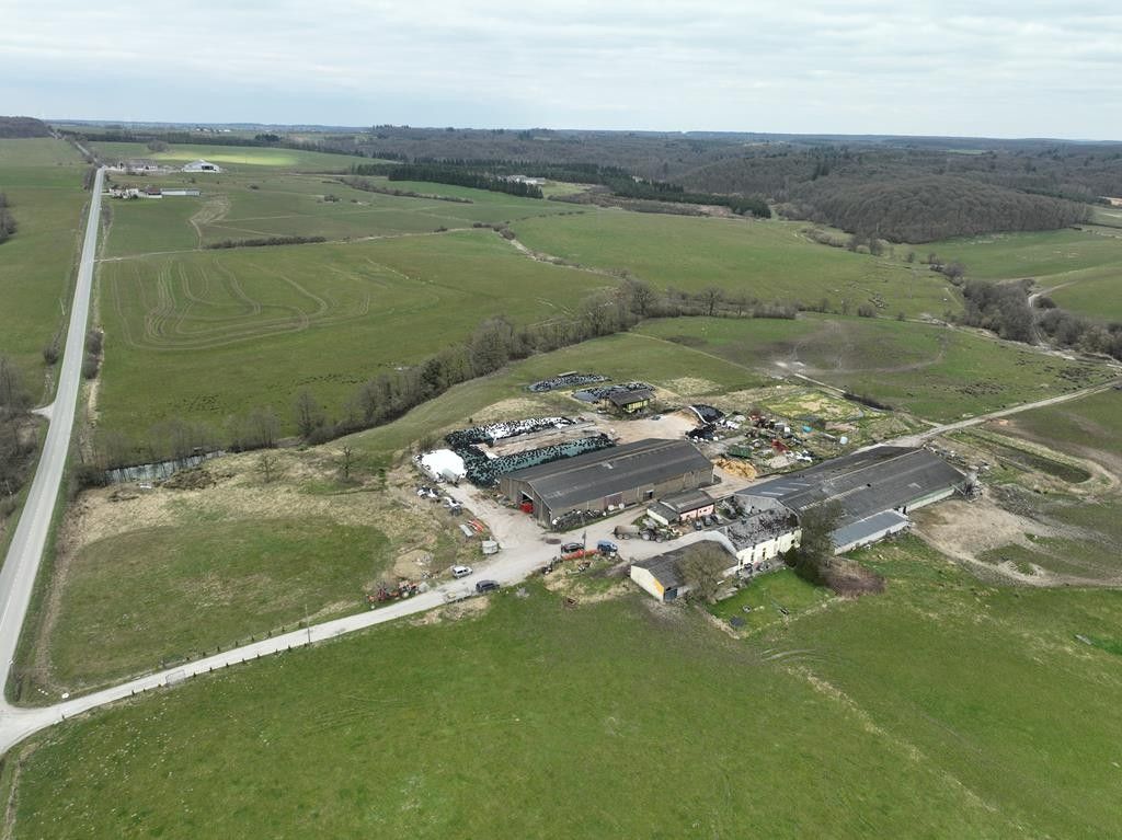 Landbouwbedrijf op 76 hectare in Chimay (Henegouwen) foto 4