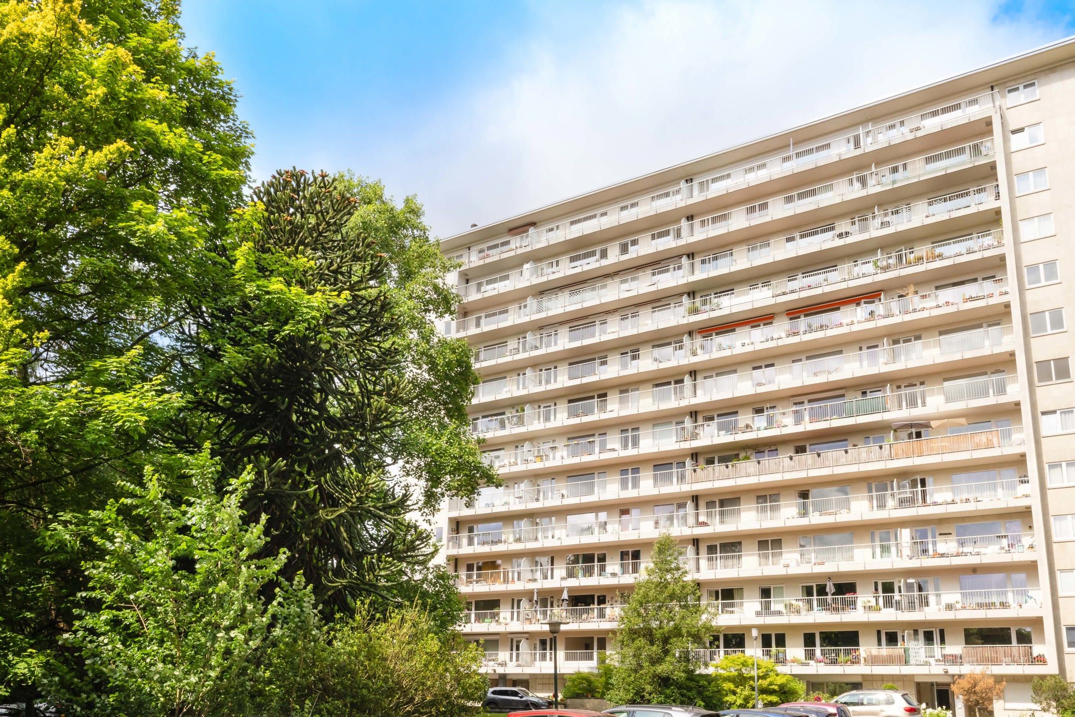 Appartement met 2 slaapkamers + grote terras foto 6