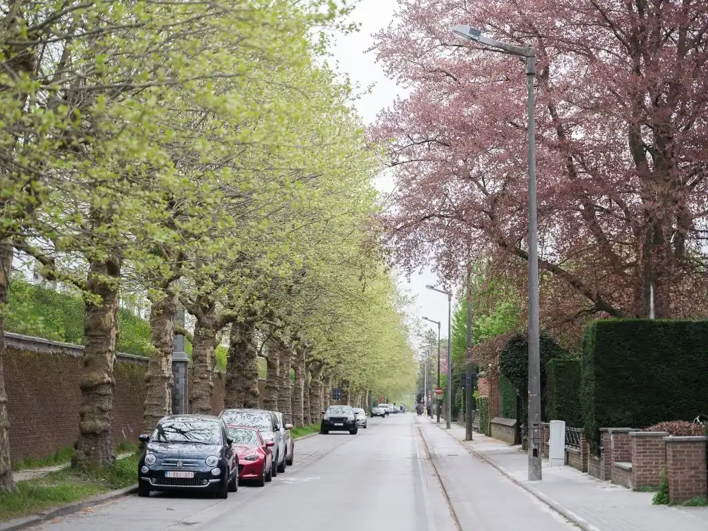 Zeldzaam aanbod - 9 studio’s en 1 appartement op een strategische ligging nabij het befaamde Miljoenenkwartier. foto 5