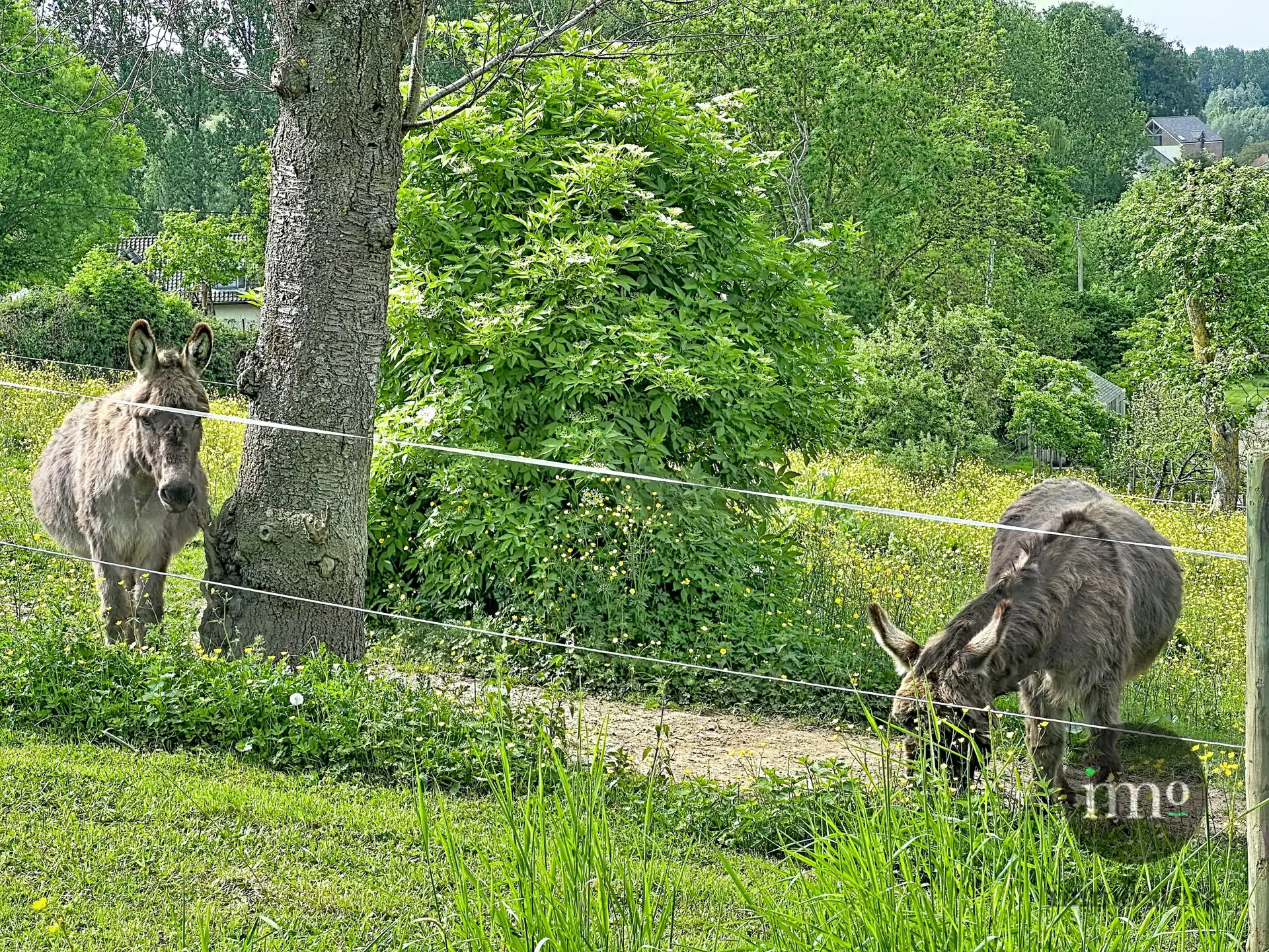 Stijlvol wonen in een uitzonderlijk groene setting foto 9