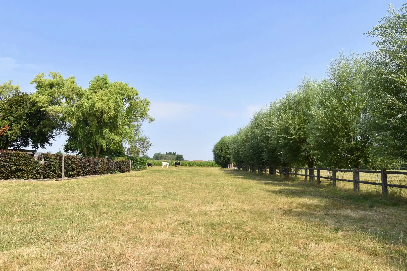 Bouwgrond met rustige, landelijke ligging en vergezicht te Heule foto 2