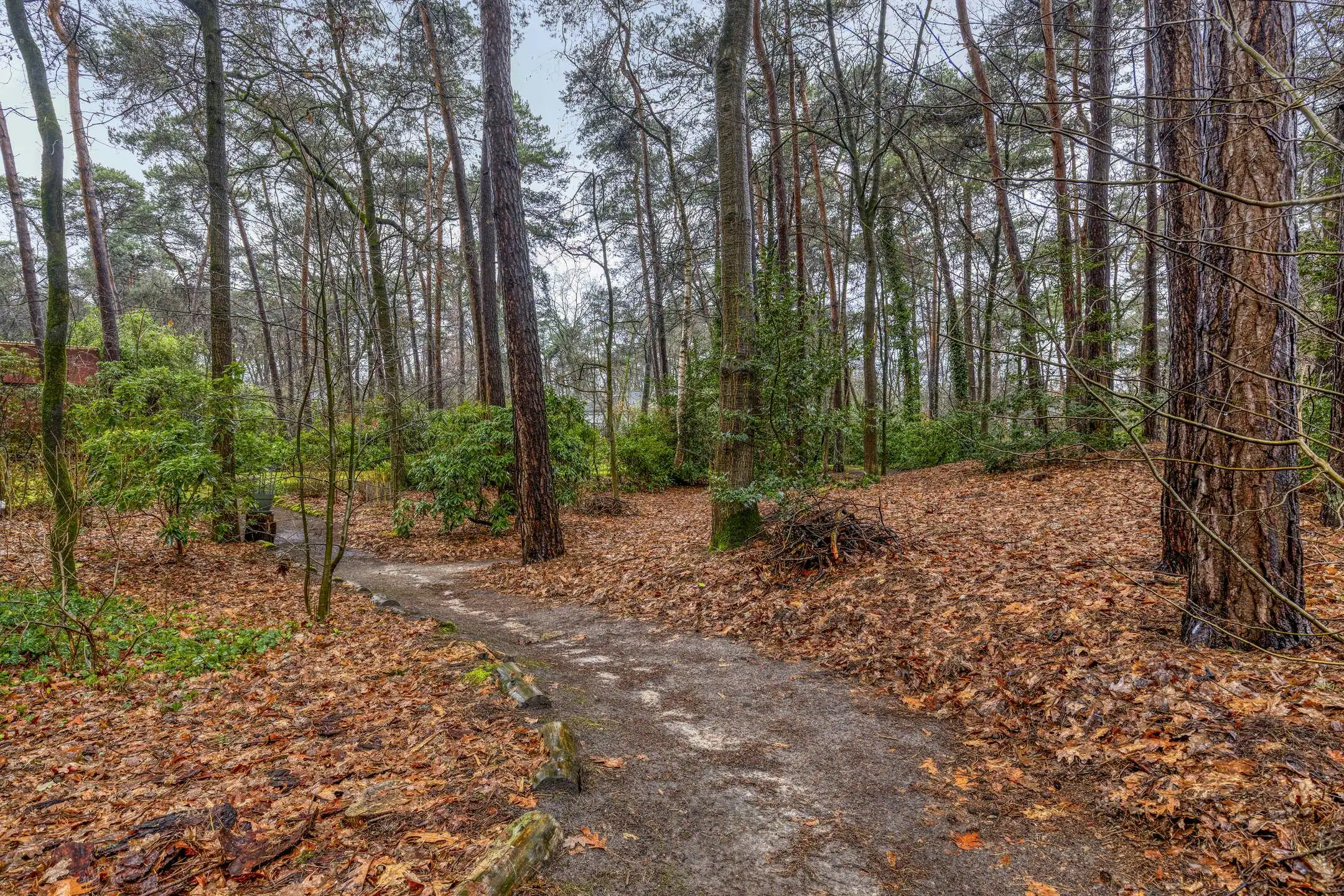 Verzorgde woning op prachtige bosgrond te koop in Wuustwezel foto 37