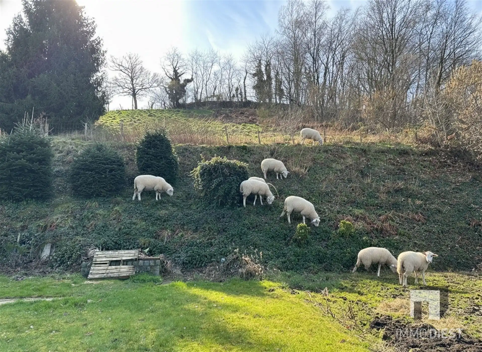 Woning met grote garage en stalling foto 3