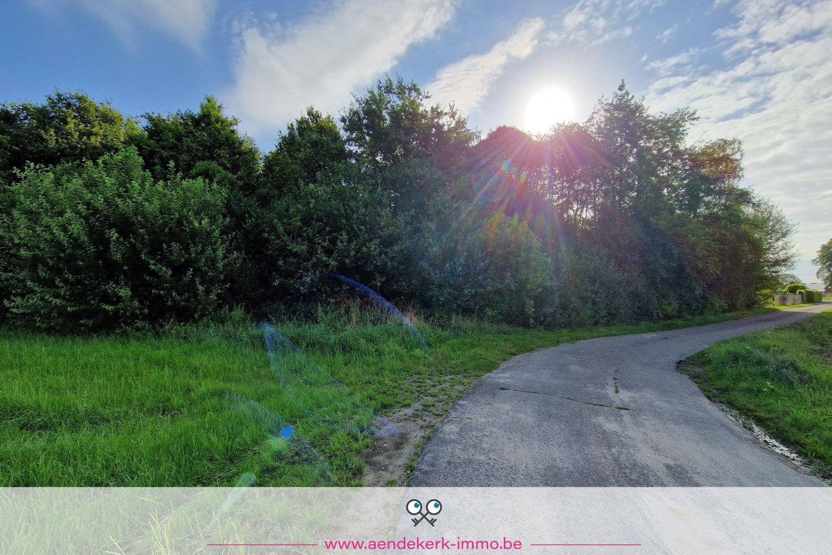 Prachtig landbouwperceel met weelderig bos in Kinrooi foto 4