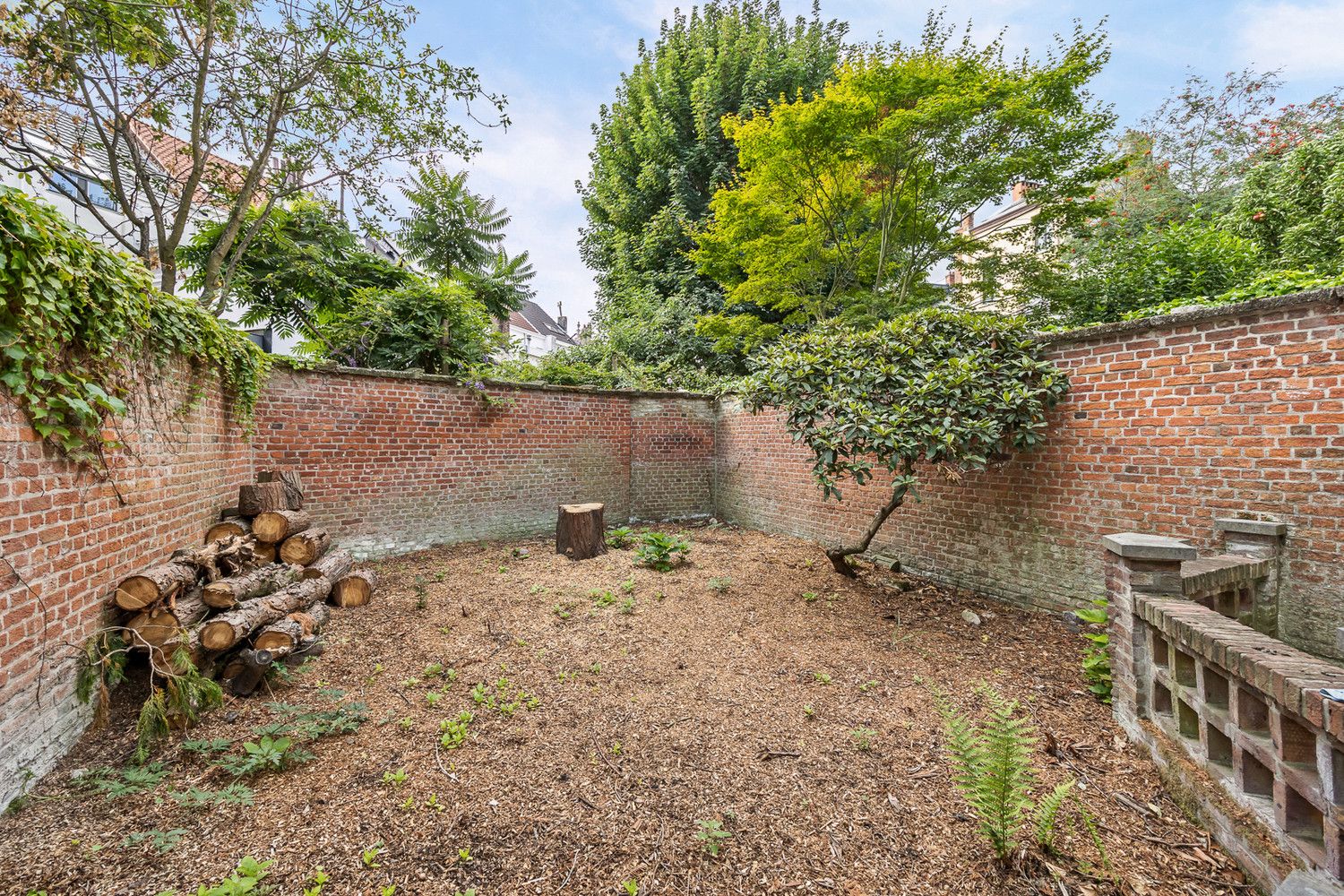 Majestueuze en te renoveren herenwoning  (240m² bewoonbaar) met uitzonderlijke tuin op topligging te Zurenborg foto 11