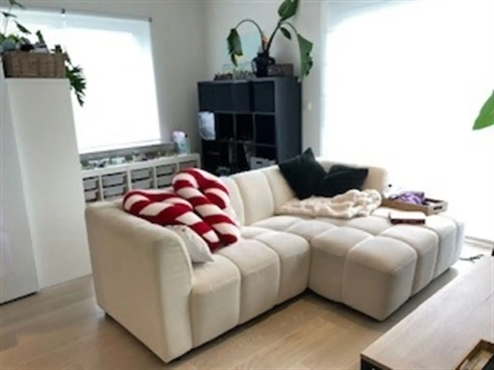Gemeubeld 2-slaapkamerappartement met garage in Ekeren foto 4