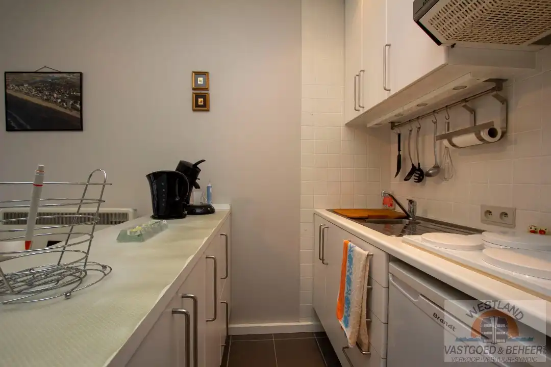 Instapklare, gerenoveerde studio in residentie Santhooft foto 6