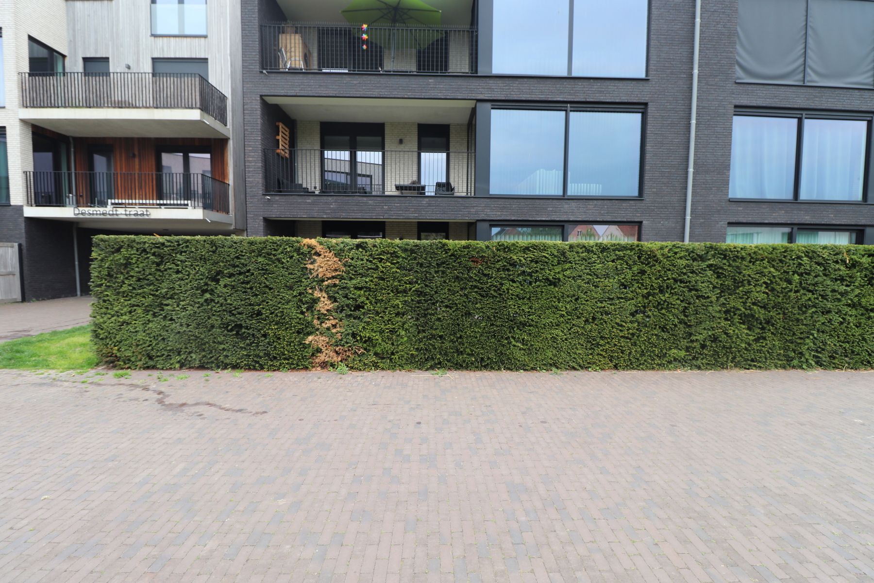 ()=>{if(producerUpdateValueVersion(node),producerAccessed(node),node.value===ERRORED)throw node.error;return node.value} Desmedtstraat 1/16 - 2322 Hoogstraten Minderhout