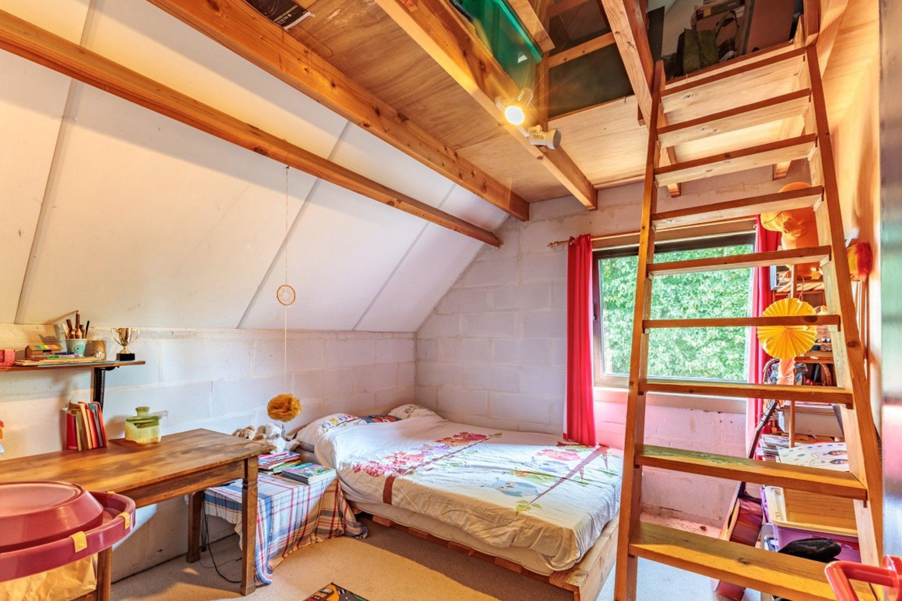 Vrijstaande woning op een perceel van meer dan 45 are foto 23