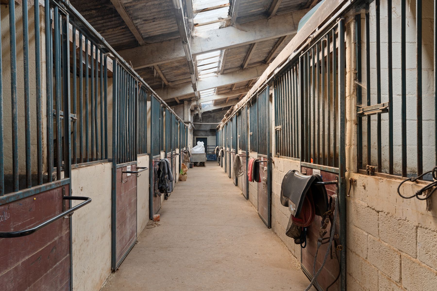 Charmante paardenmanège met woonruimte en gezellig café in Varsenare foto 14