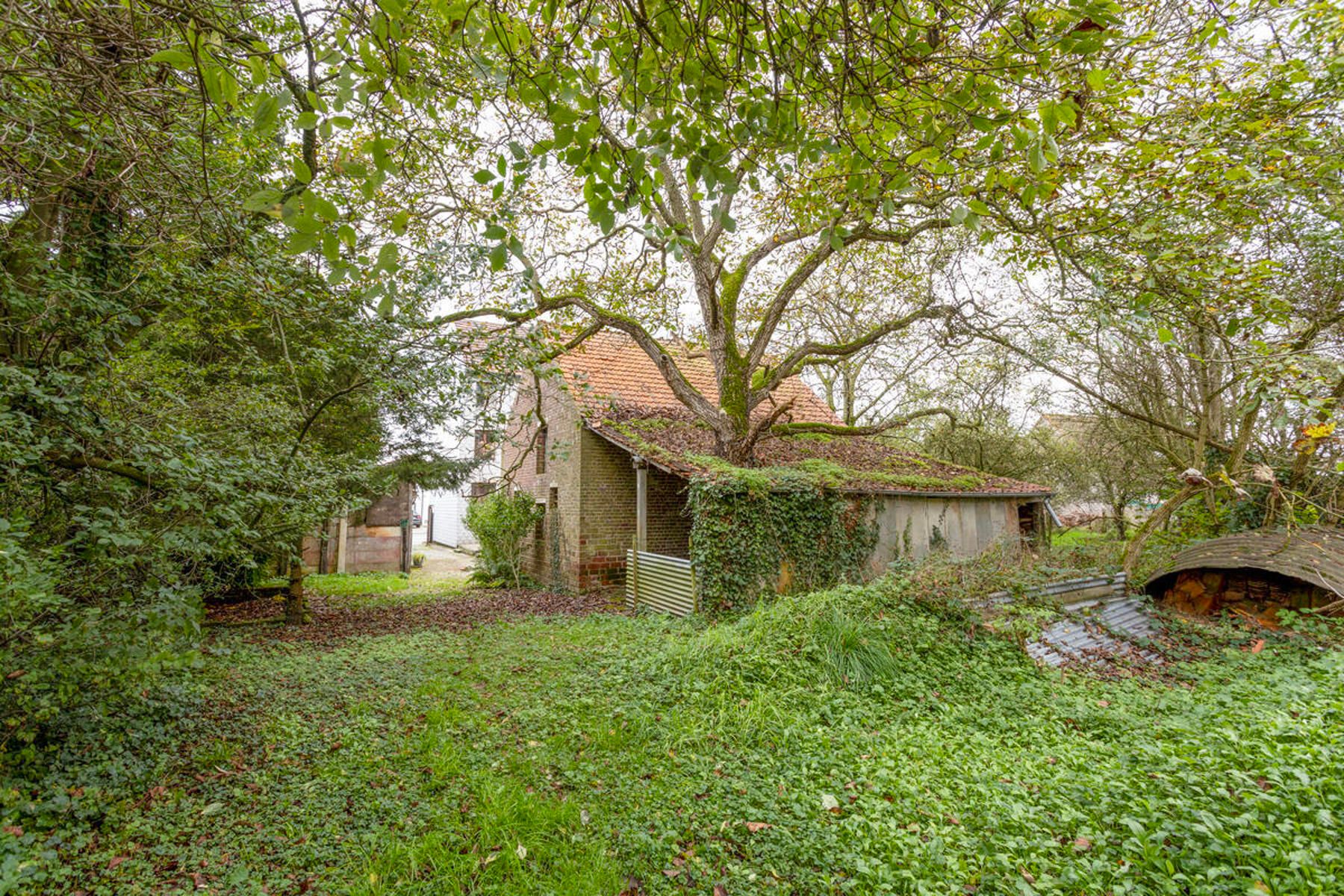 Te moderniseren herenhuis met ateliers foto 20