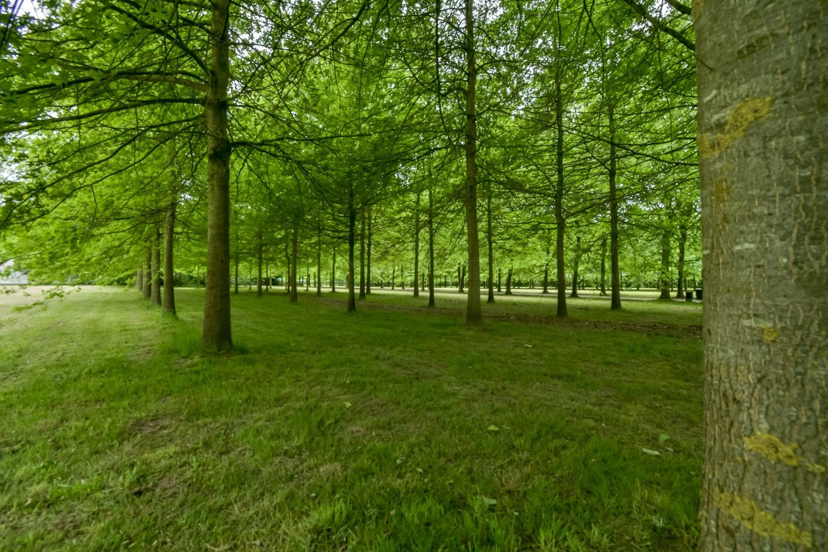Exclusief domein op unieke locatie in Dentergem! foto 31