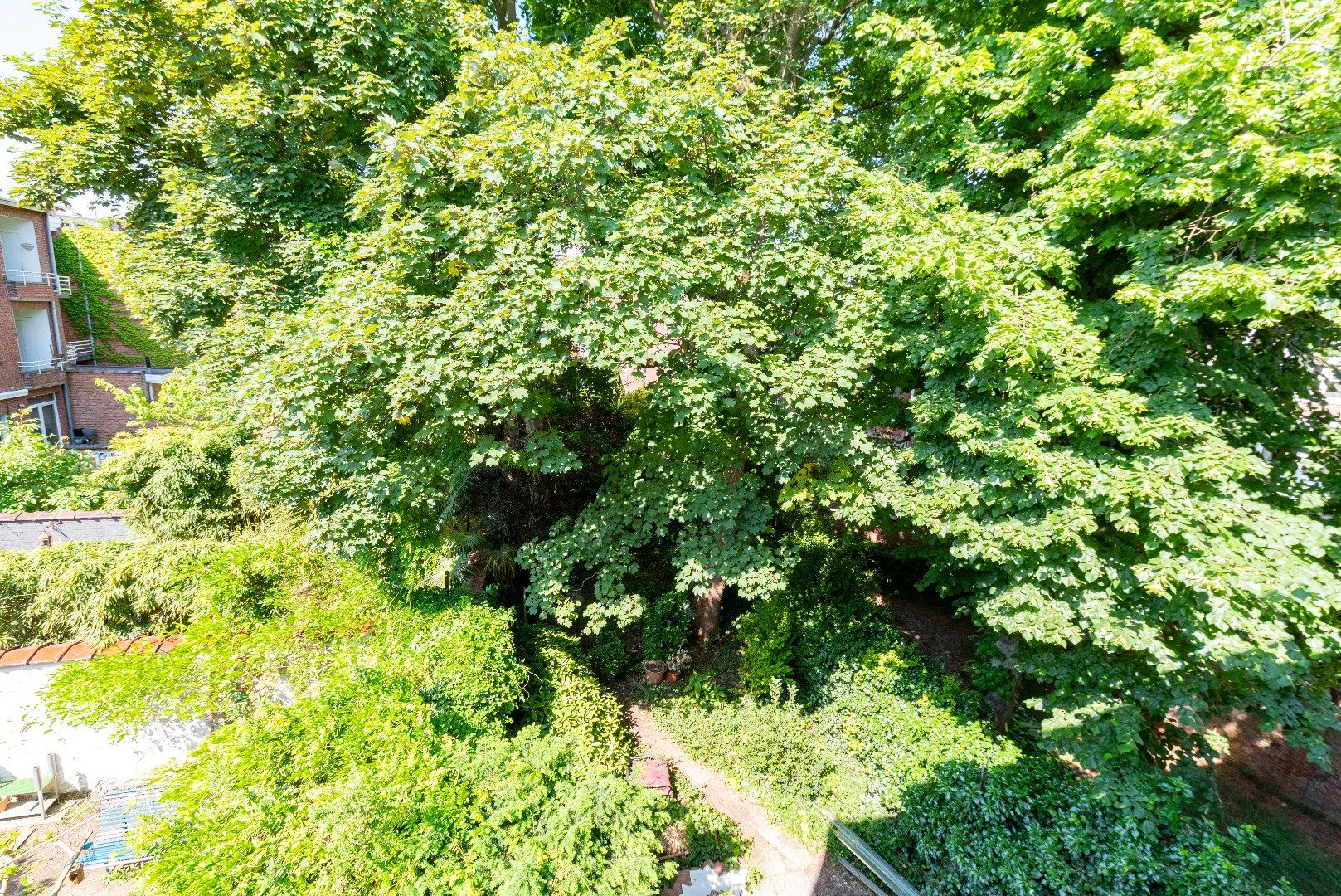 Appartement met uitzicht op 38 kleurrijke papegaaien! foto 12