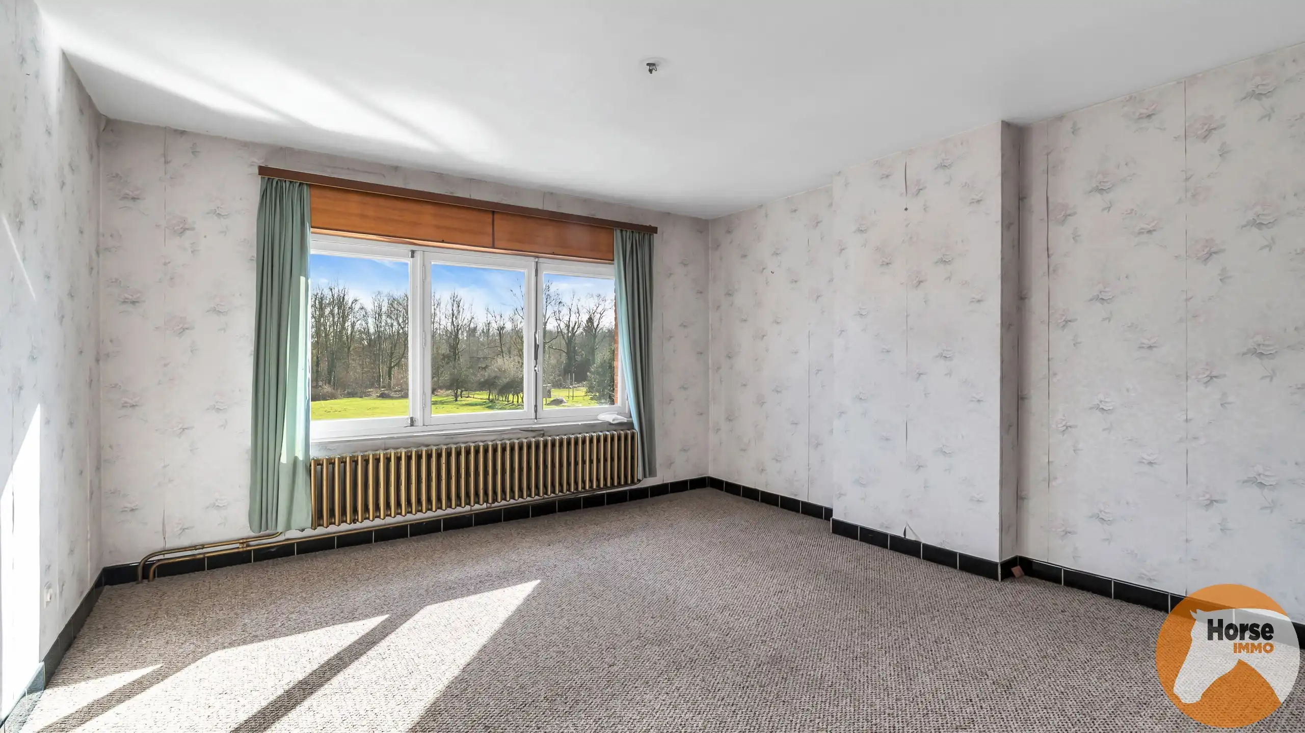 NIEUWRODE - Te renoveren woning op 25a50 foto 22