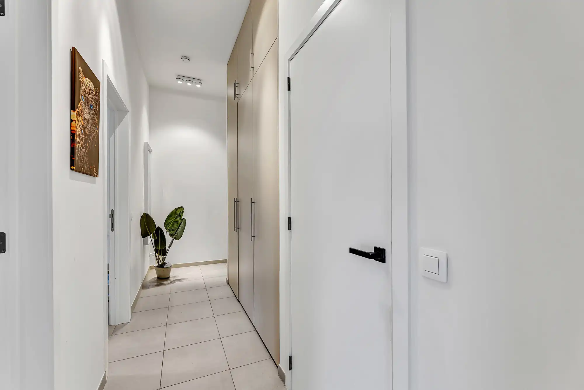 Recent en ruim gelijkvloers app met ruim terras foto 15