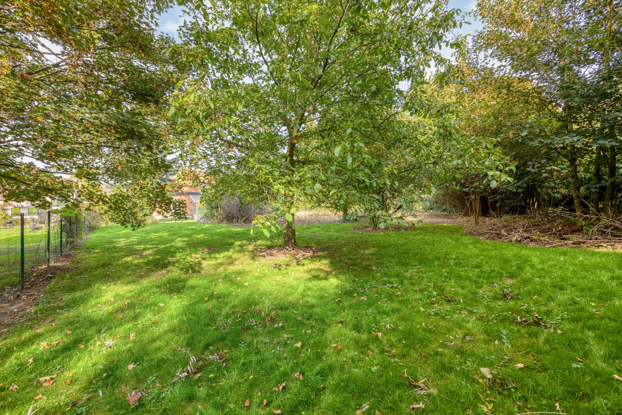 Te Renoveren viergevelwoning op 23are op een top locatie in Grimbergen! foto 42