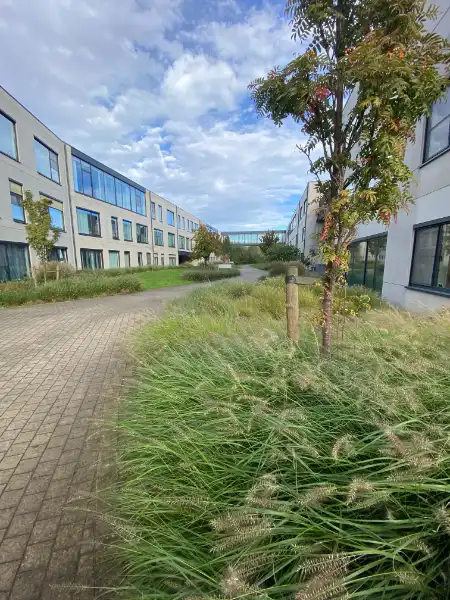 Moderne assistentiewoning in Demerhof Aarschot foto 3