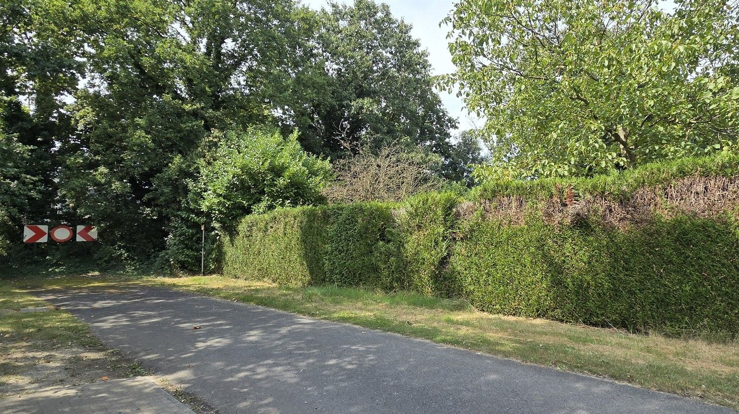 Bouwgrond voor open bebouwing met een oppervlakte van 7a 64ca in Zonhoven foto 5