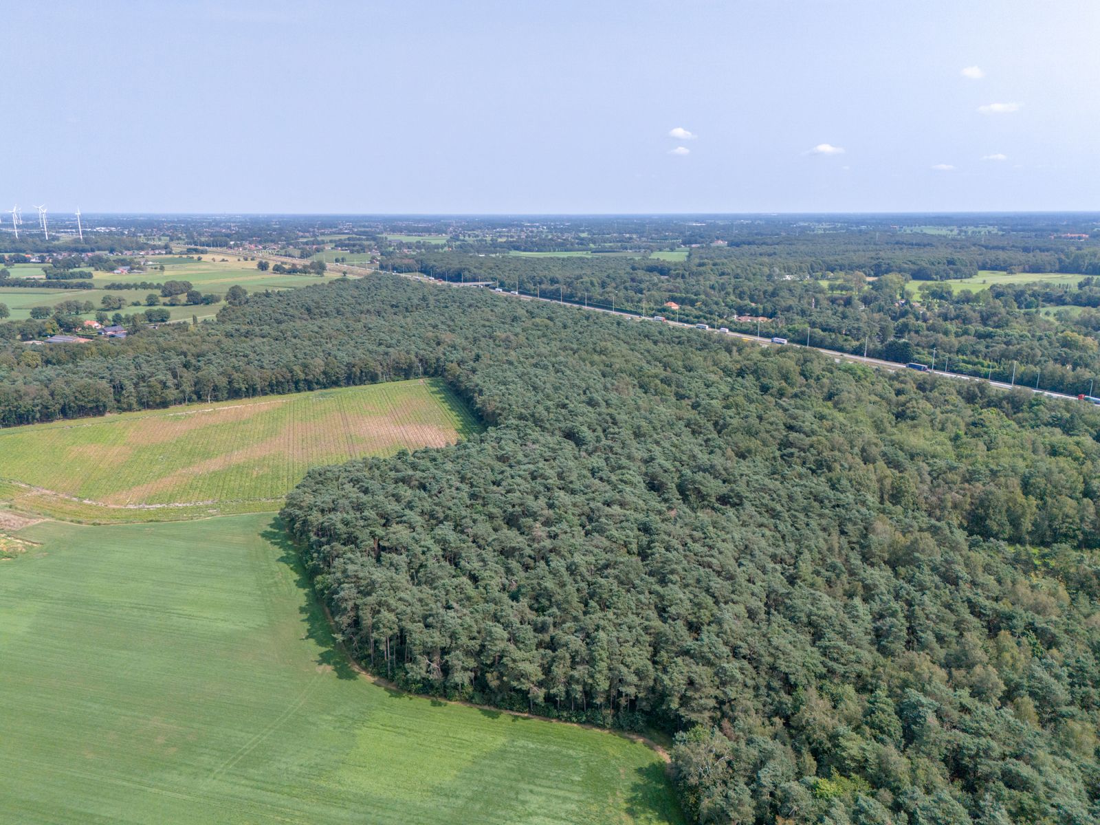 Perceel bosgrond van 20750m² te Brecht foto 6