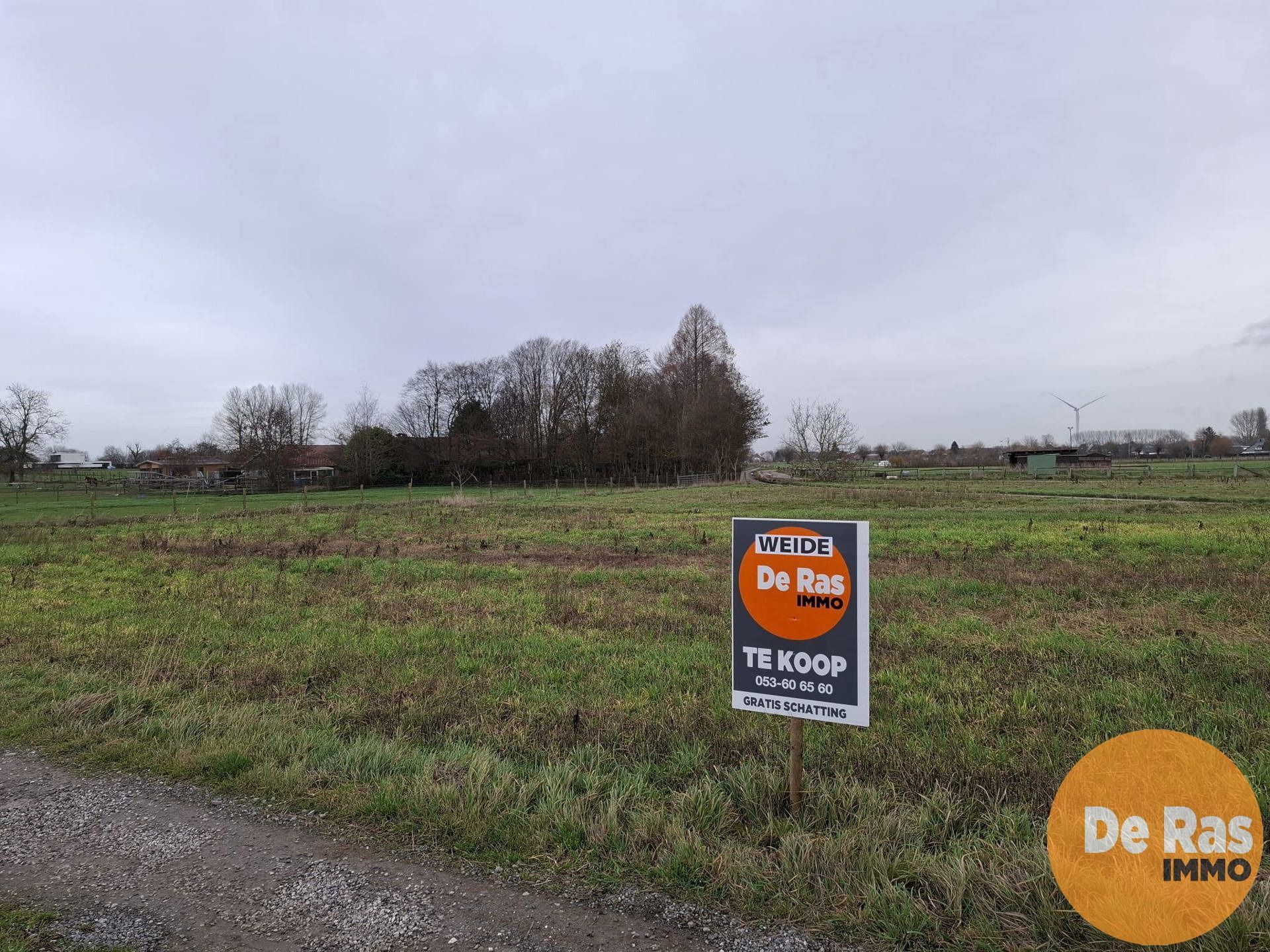 Grond te koop 9450 Haaltert