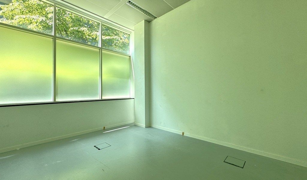 Gelijkvloers kantoor te huur in  "Rubens Building" te Berchem foto 8