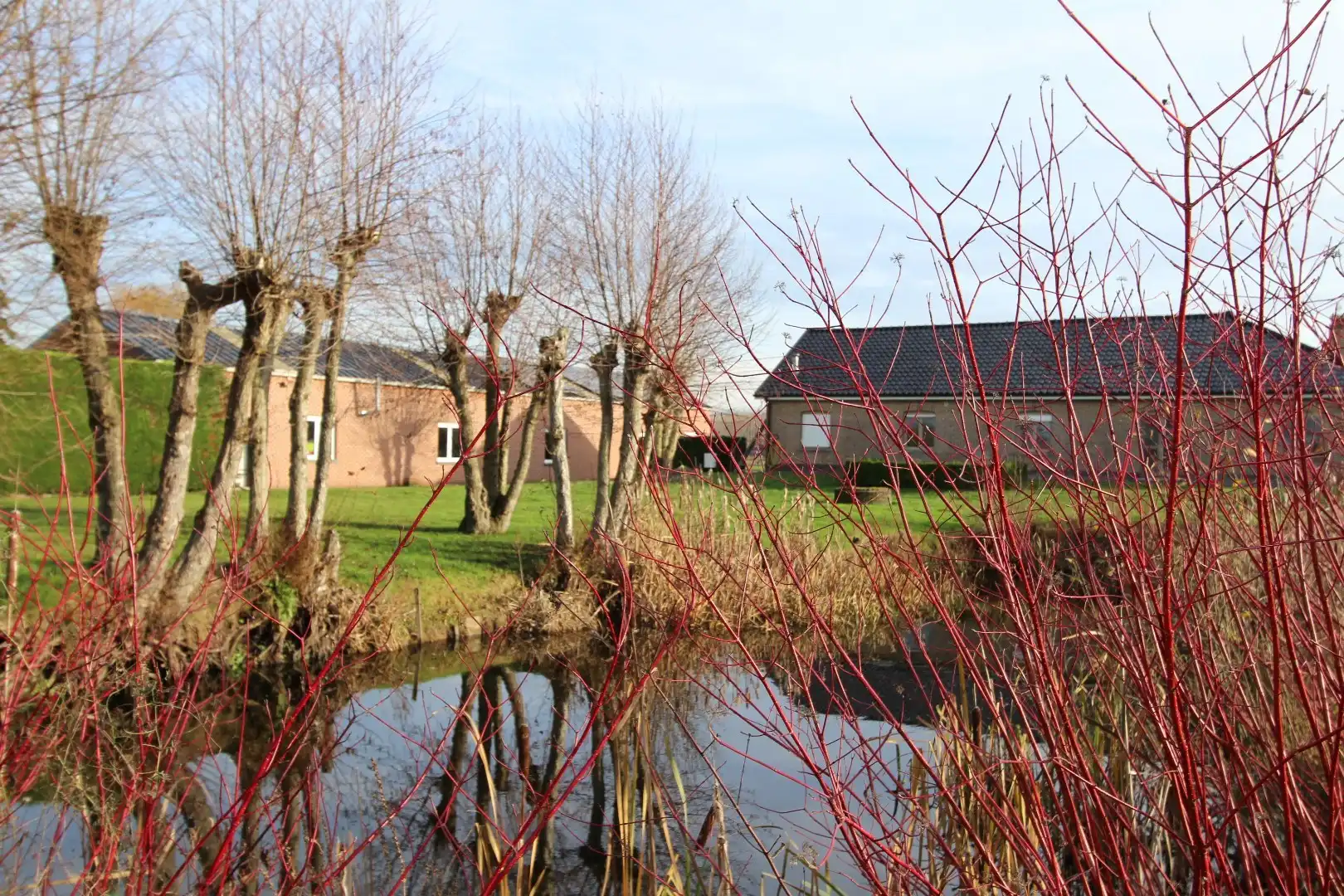 Landelijk gelegen woning met loods foto 2