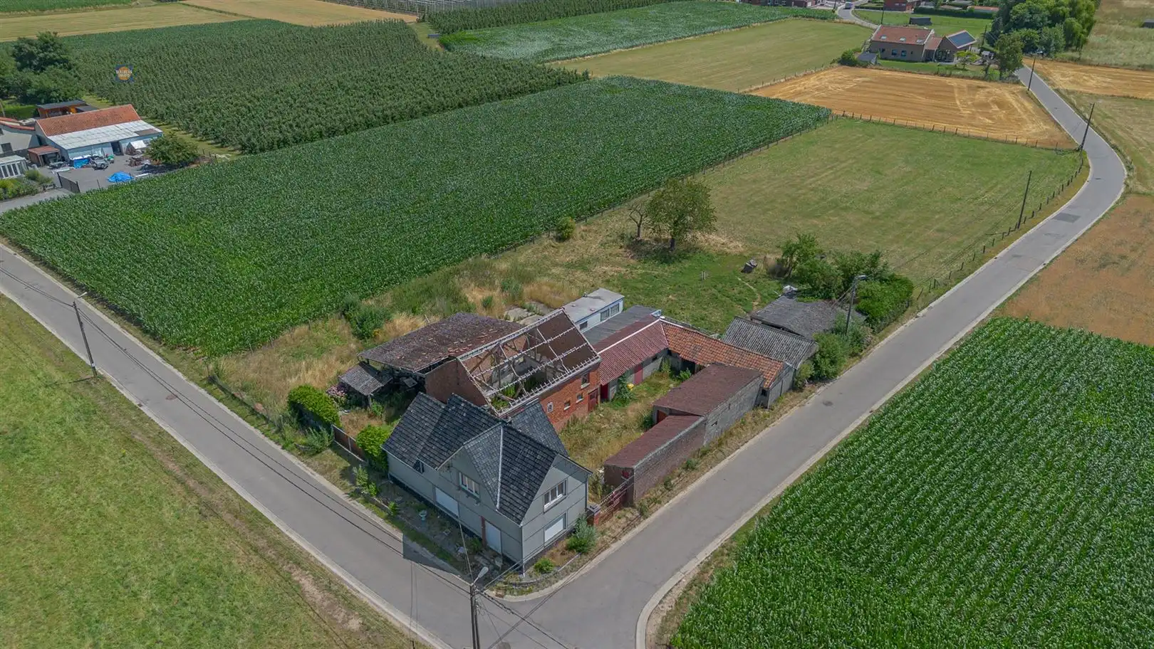 Hoofdfoto van de publicatie: Te renoveren vierkantshoeve op toplocatie