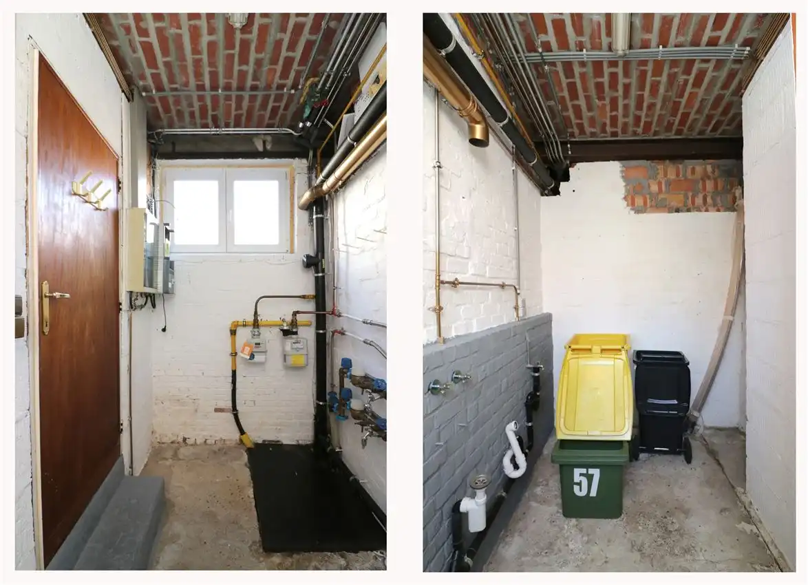 charmant, ruim, mogelijkheid beroep of kangoeroe foto 26