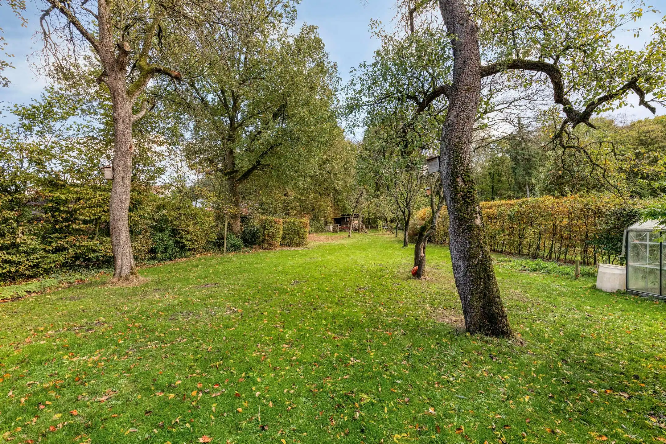 Karaktervol huis met grote tuin te koop in Wuustwezel! foto 21