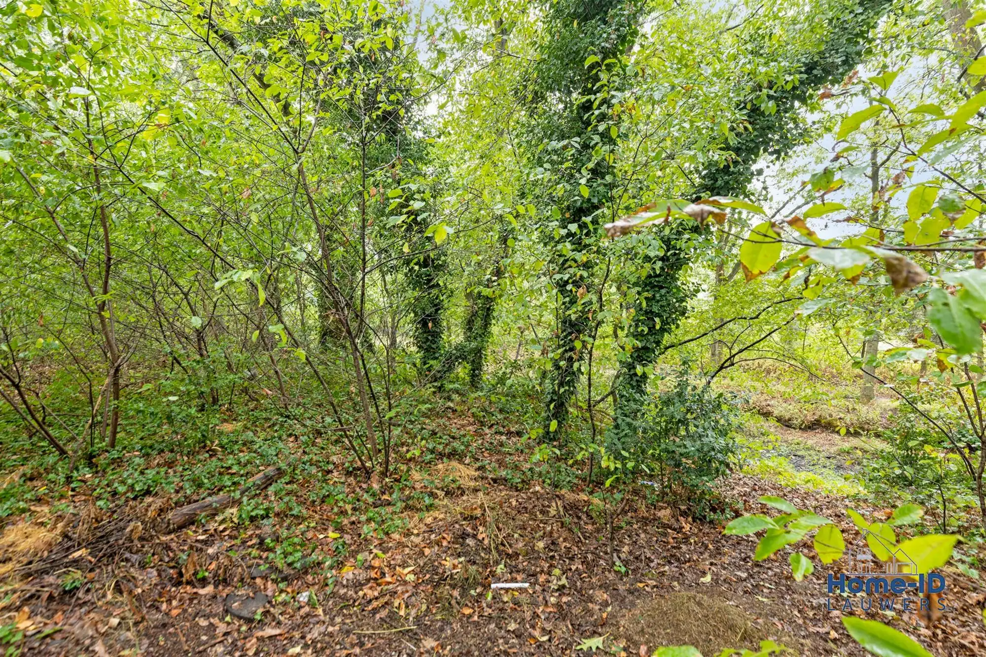 Unieke gelijkvloerse woning aan Merksplas-Kolonie! foto 51