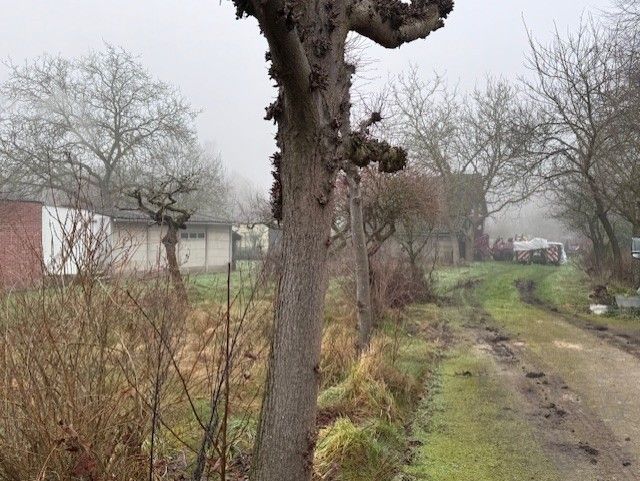 Bouwgrond in Begijnendijk foto 3