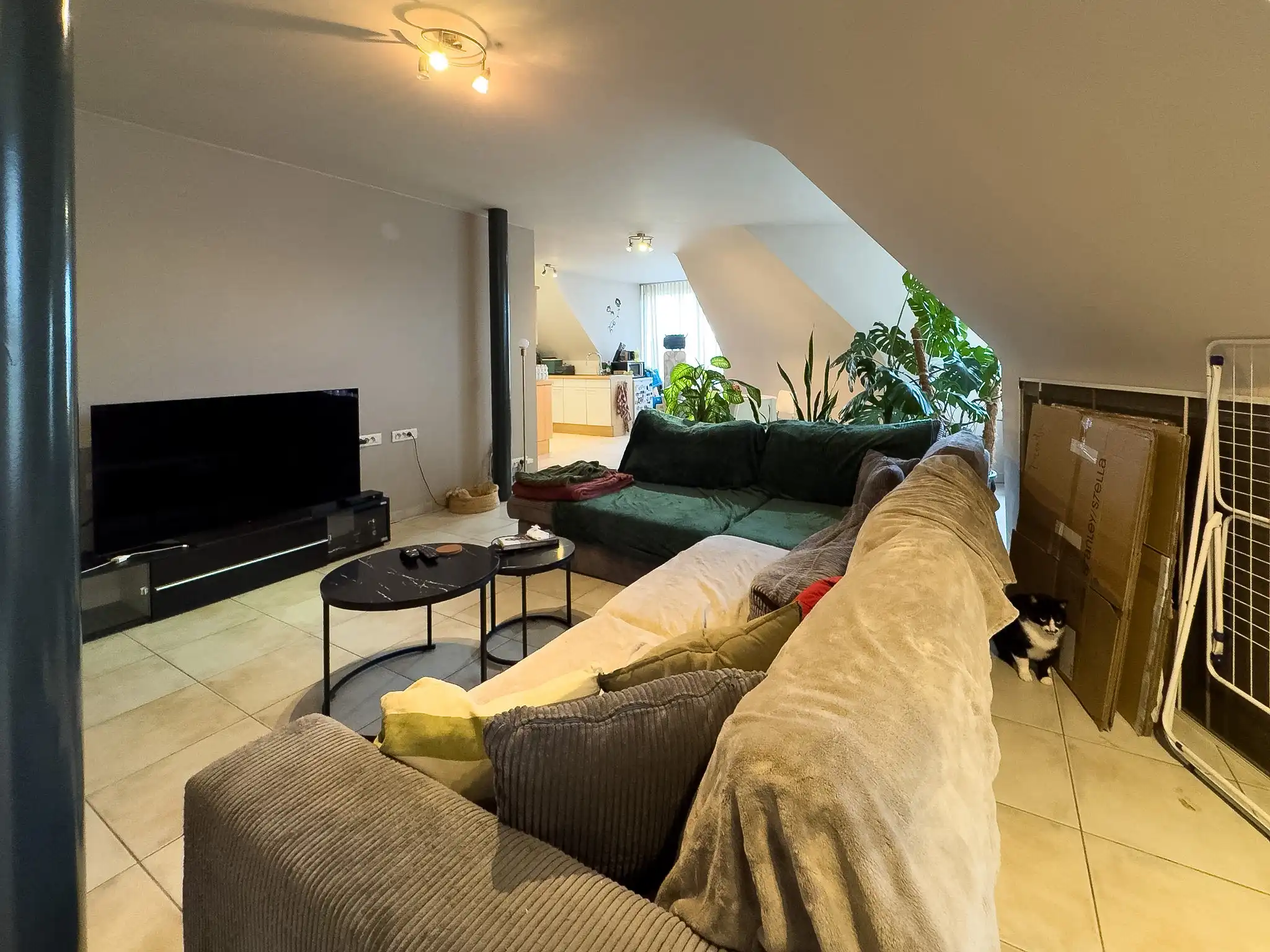 Lichtrijk en energiezuinig appartement te huur foto 2