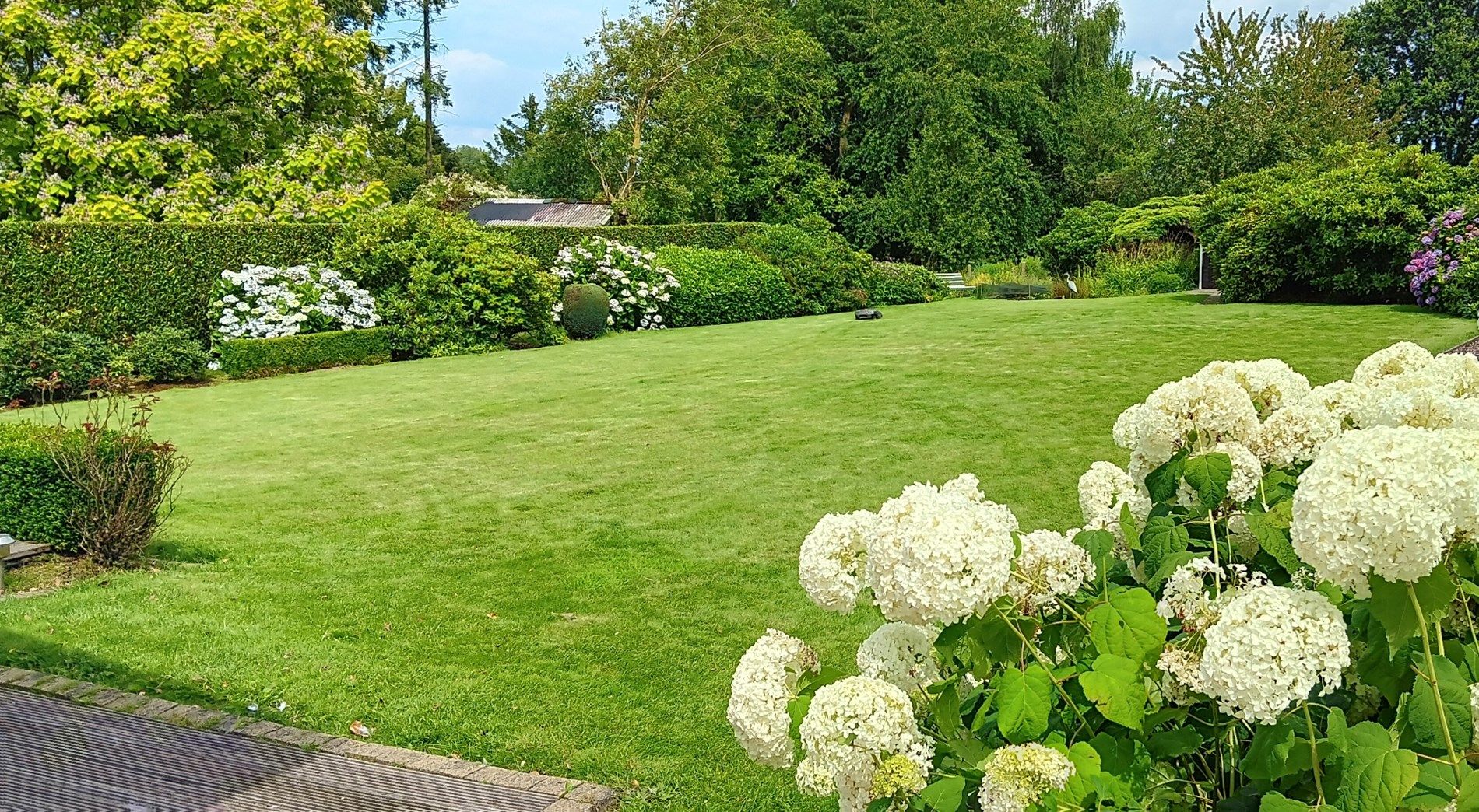 Goed gelegen charmante woning te Asse foto 17