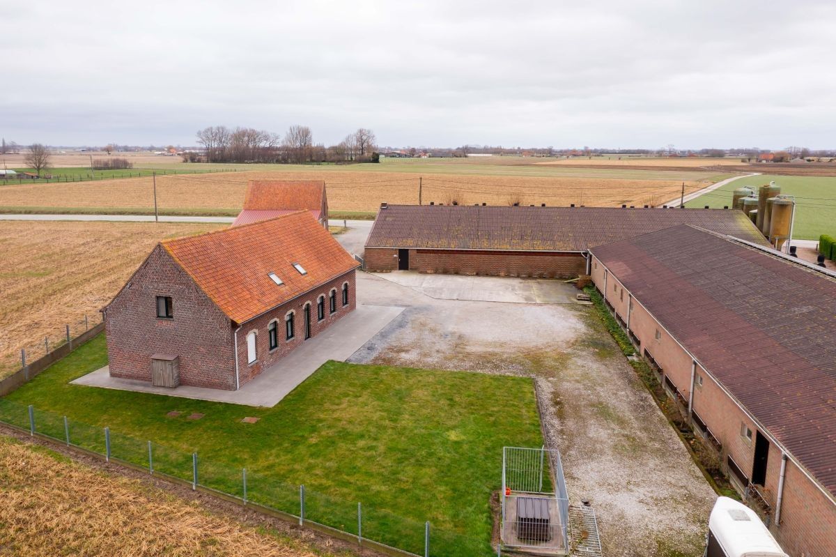 Varkensbedrijf te koop te Leisele foto 3