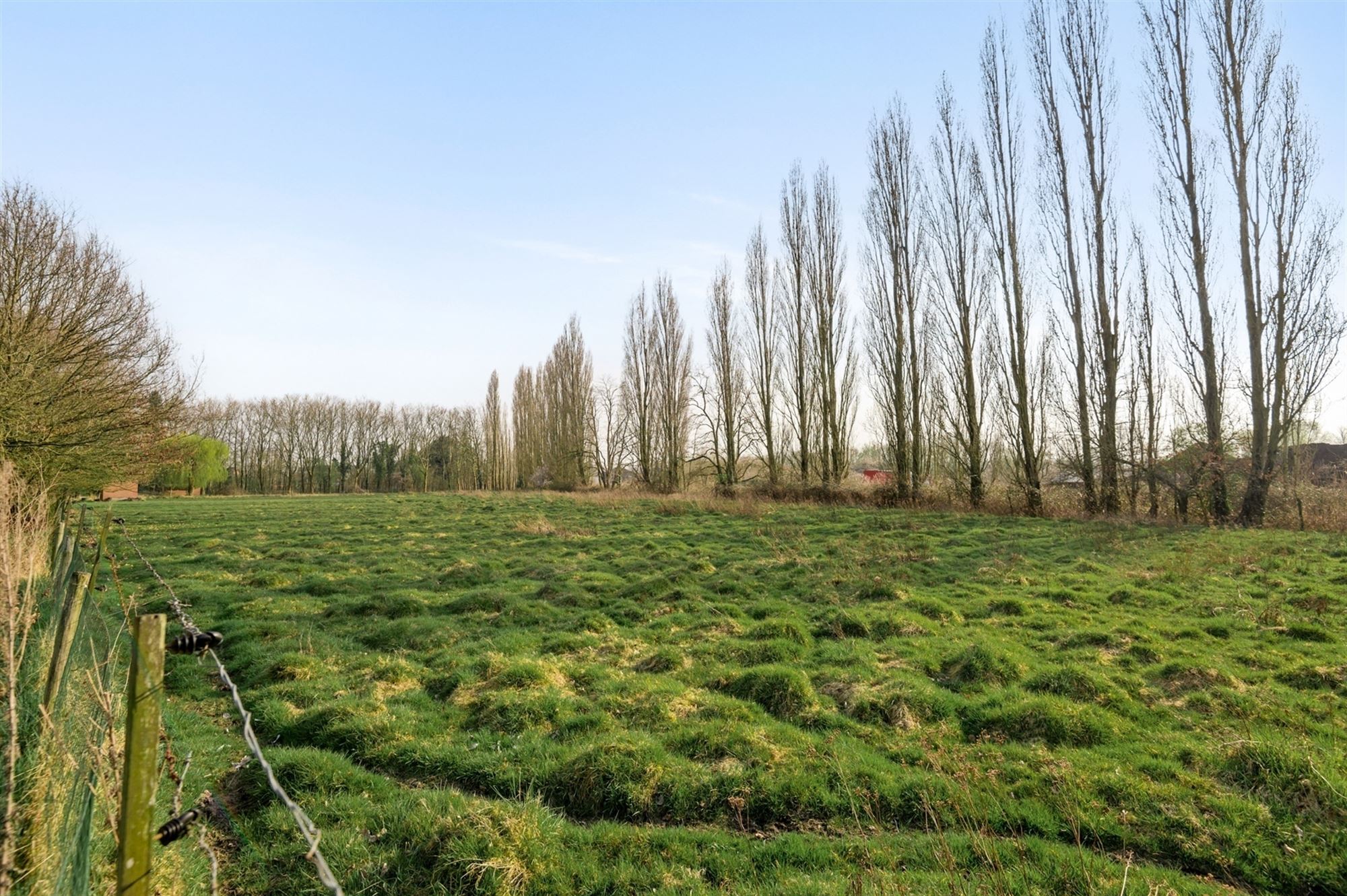 Perceel landbouwgrond te Putte foto 2