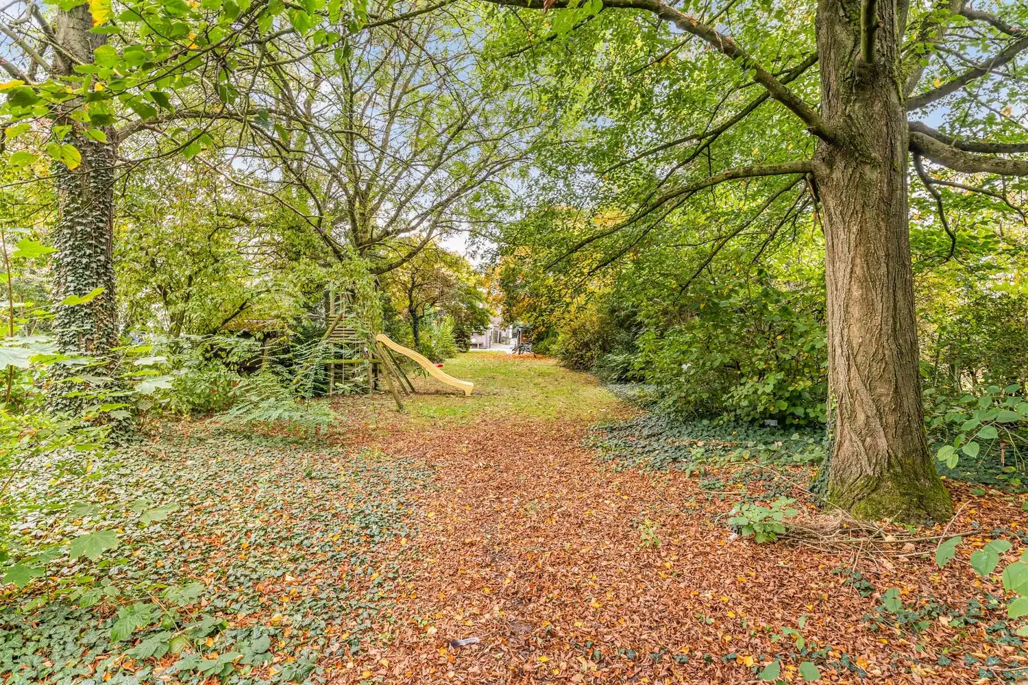 Pand met vergunde praktijkruimte, woonst, garage en carport in Opglabbeek foto 43