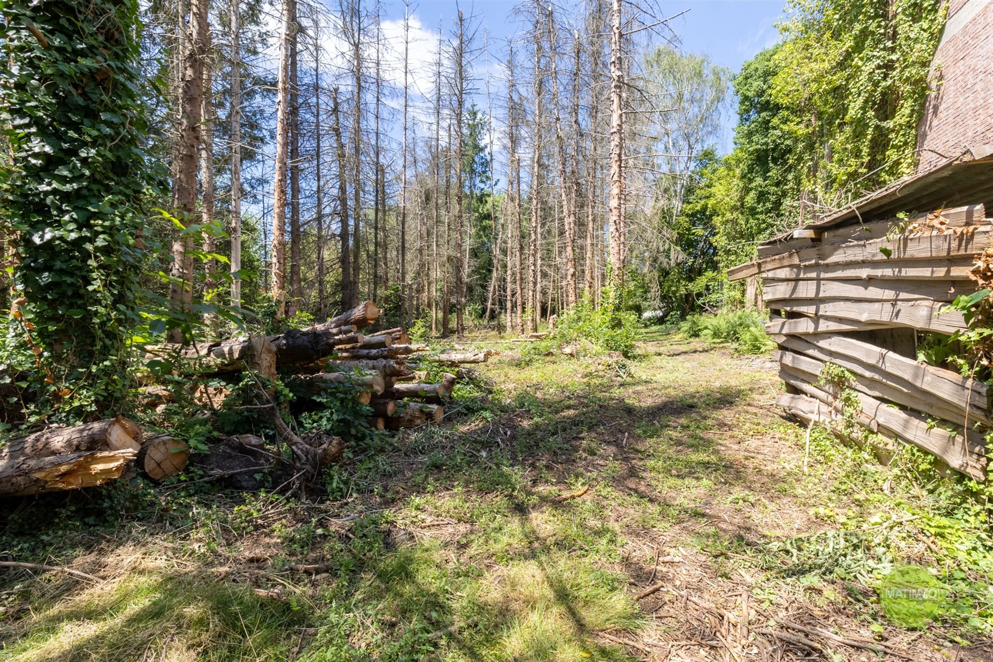 Charmante karakterwoning op een perceel van 2900 m2 in Mol foto 32
