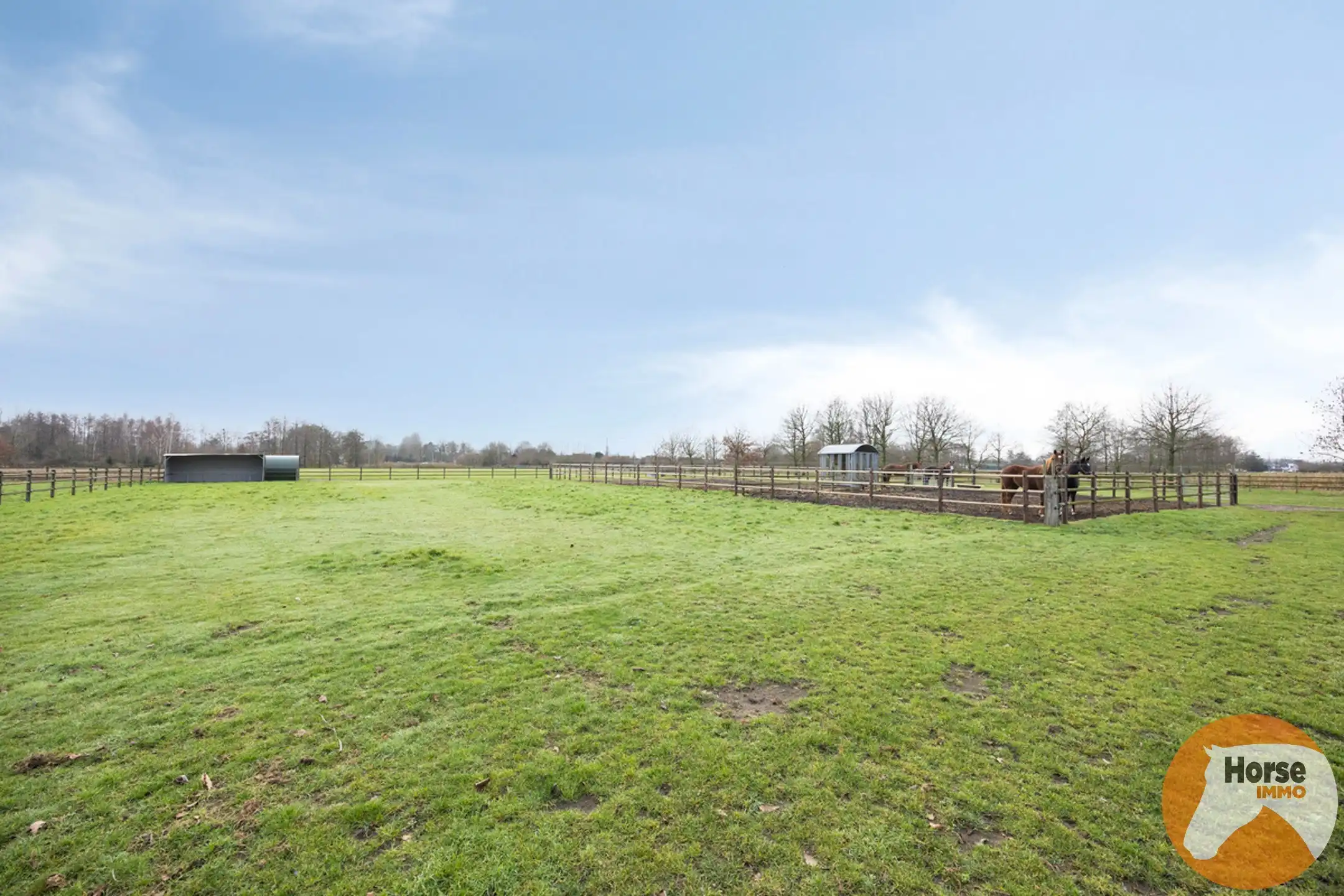 LOCHRISTI - Rustig gelegen stalgebouw op +- 2,3HA foto 20