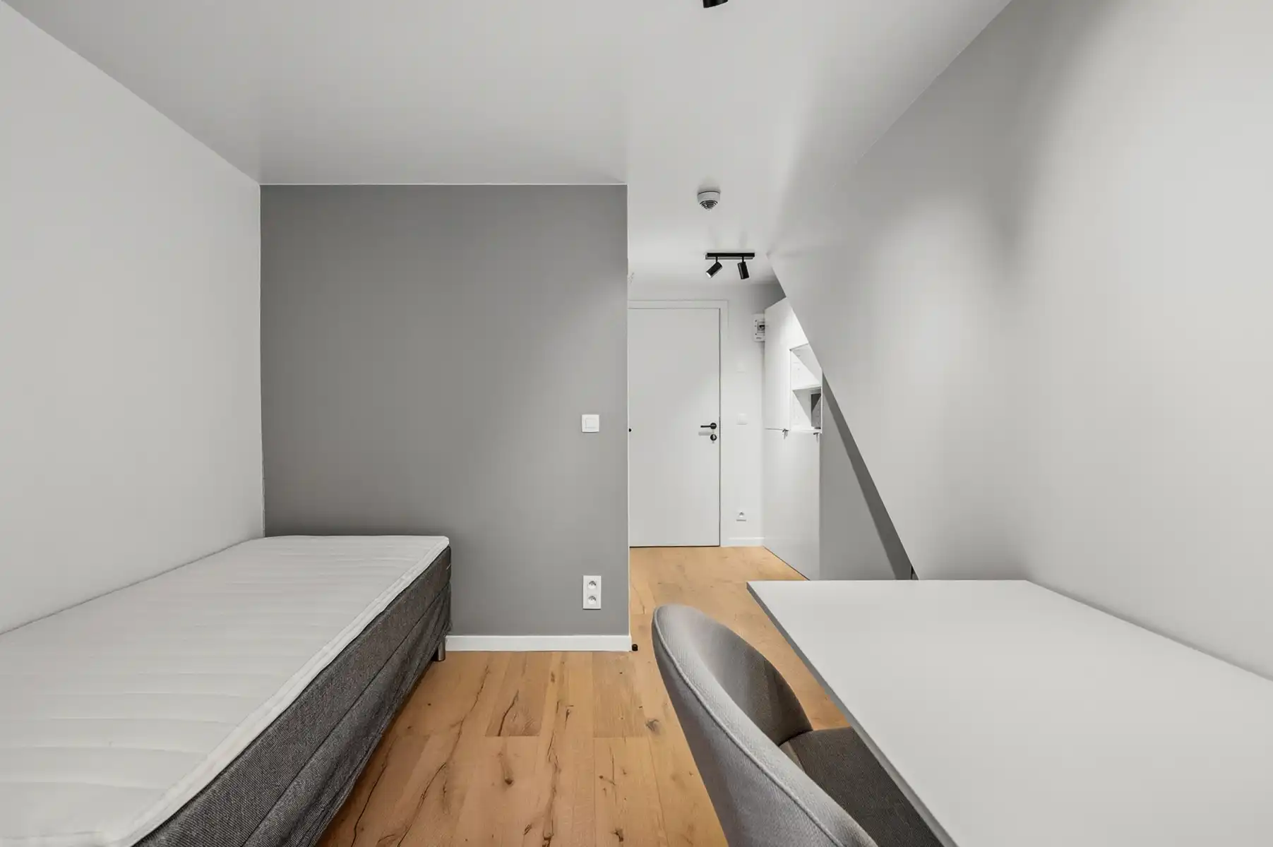 Luxueus studeren in de Tiensestraat! foto 2