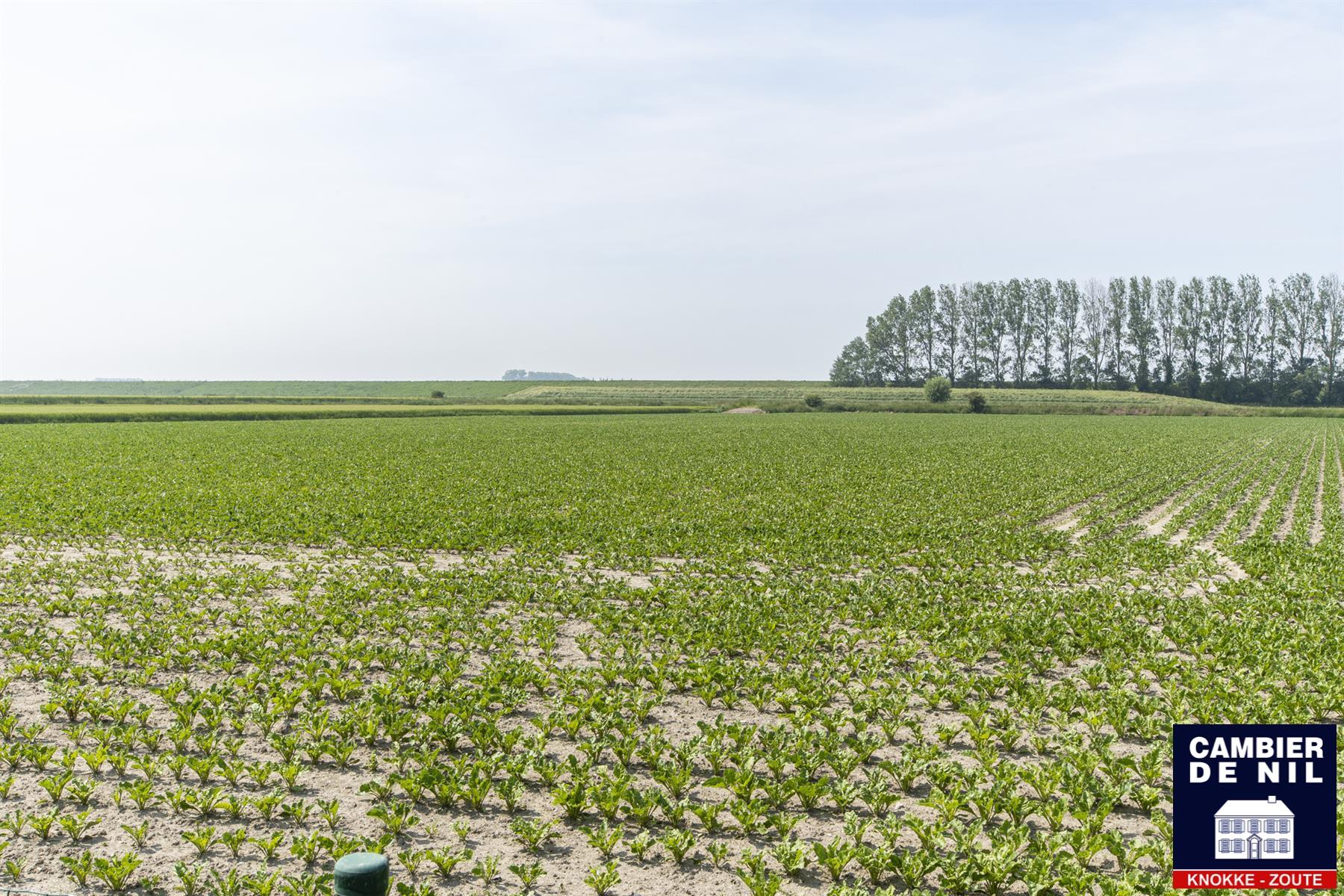 Mooi gelegen hoeve - woning, op 10 min. van Knokke, met uitzonderlijke zichten. foto 3