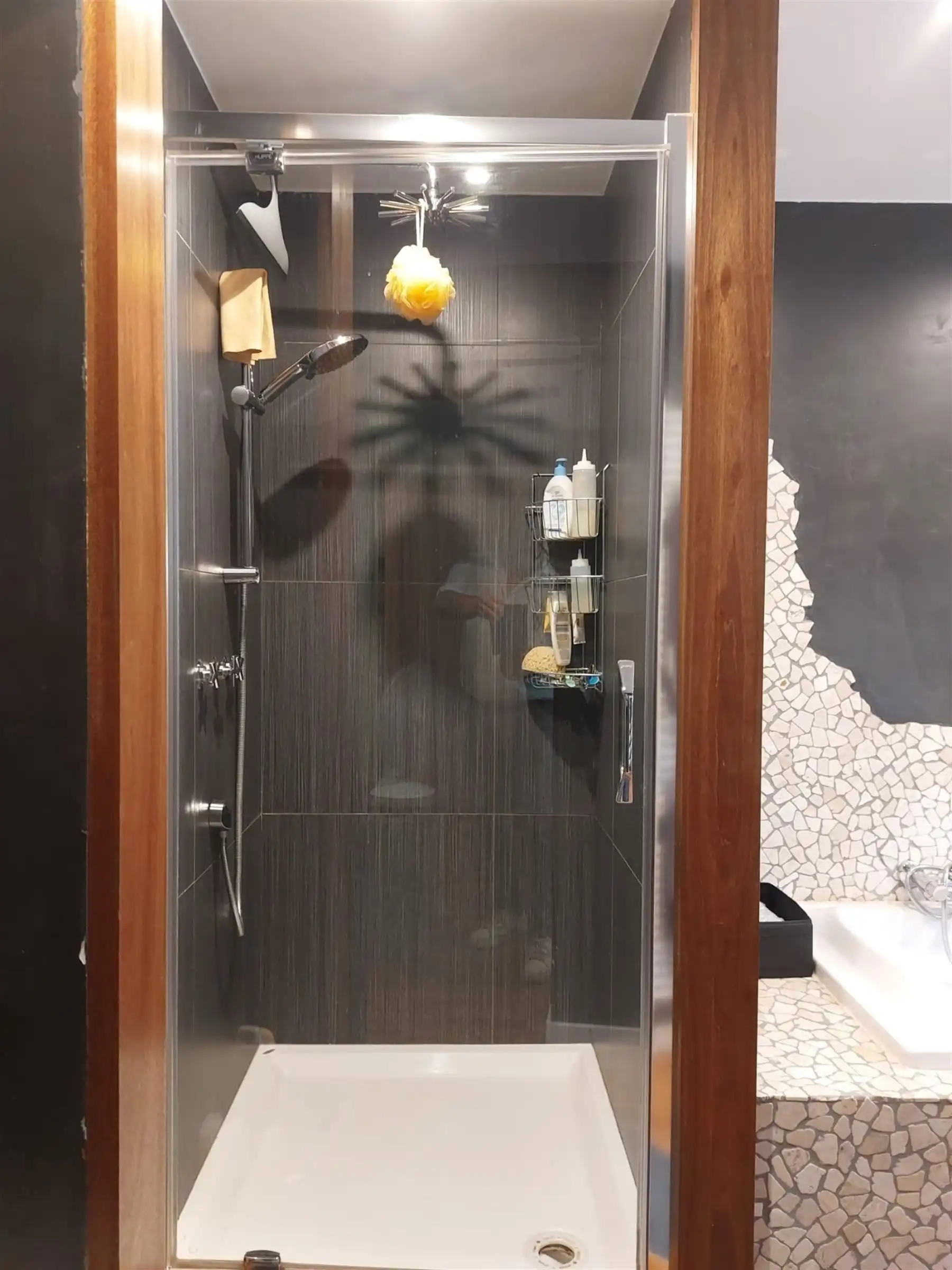 INSTAPKLARE WONING MET GEZELLIGE TUIN  foto 16