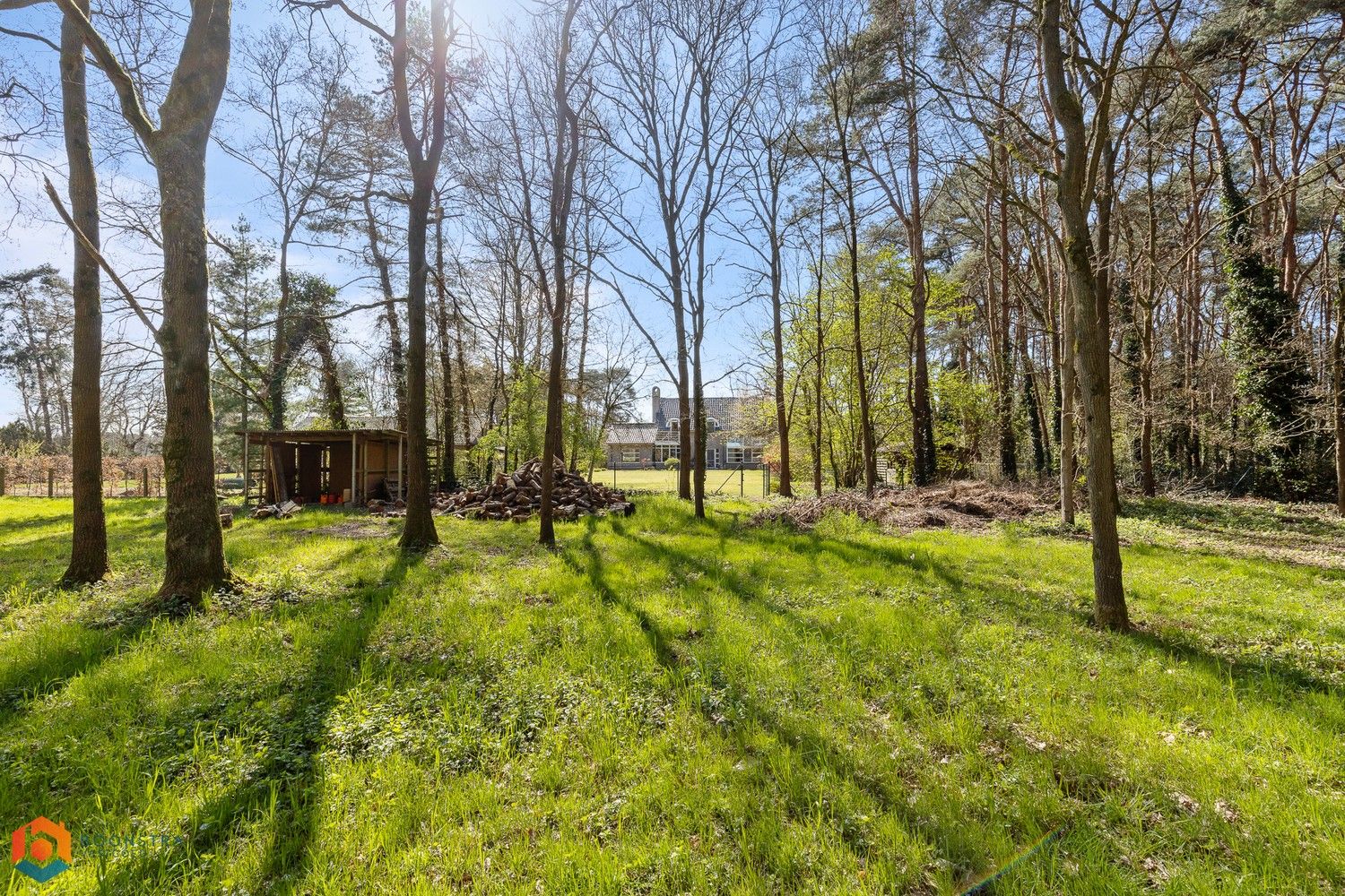 Riante villa met 5 slpkrs op 8625 m² te Rijmenam foto 20