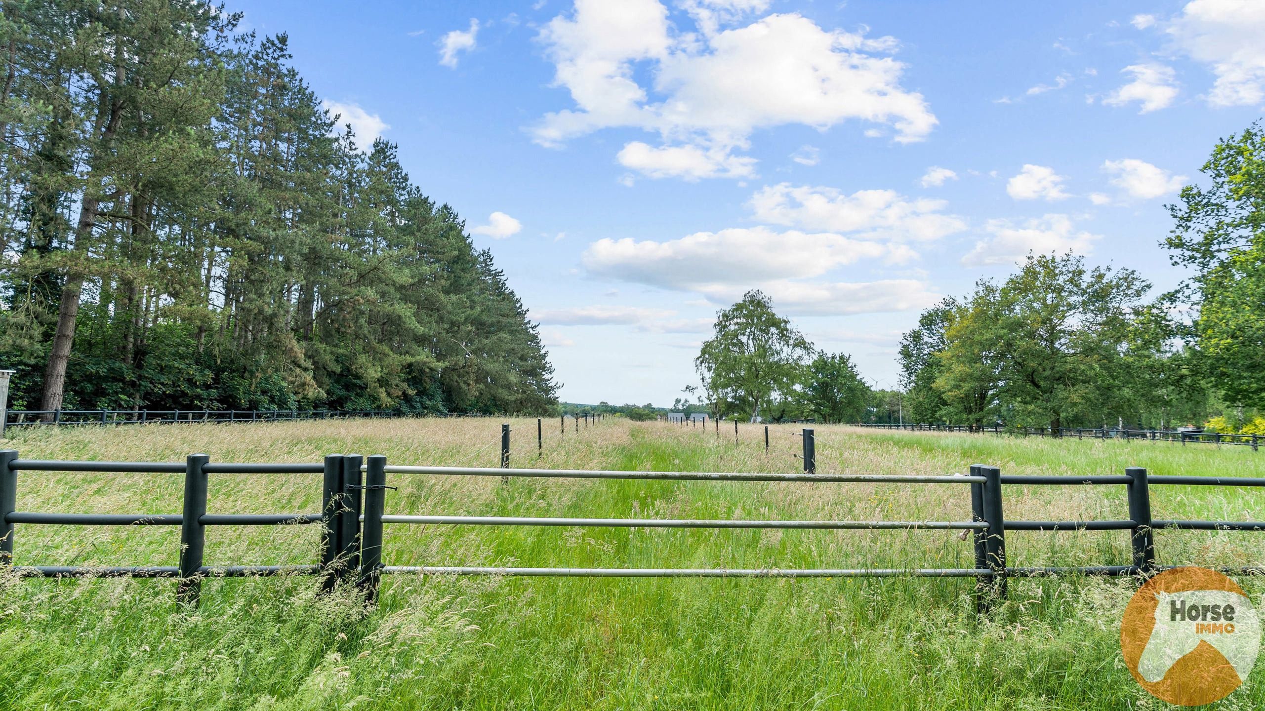 NEEROETEREN - Woning met paardenstallen op +/- 1ha70 foto 24