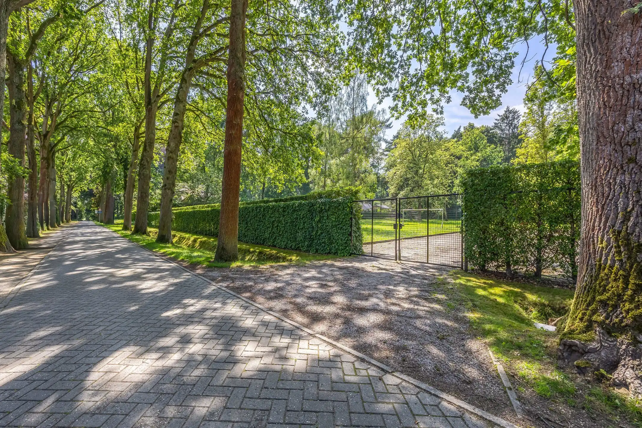  Uitzonderlijke ZW bouwgrond van 4.053 m² op toplocatie! foto 4