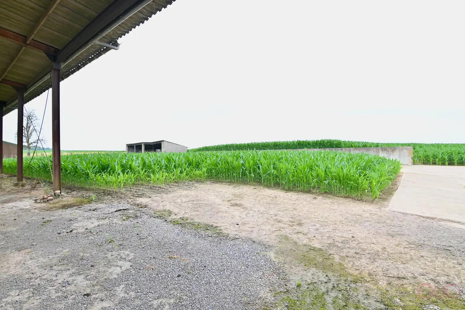 Hoevewoning op een perceel van 69a20ca met een veestal van 391m2 en een open schuur van 355m2 foto 14