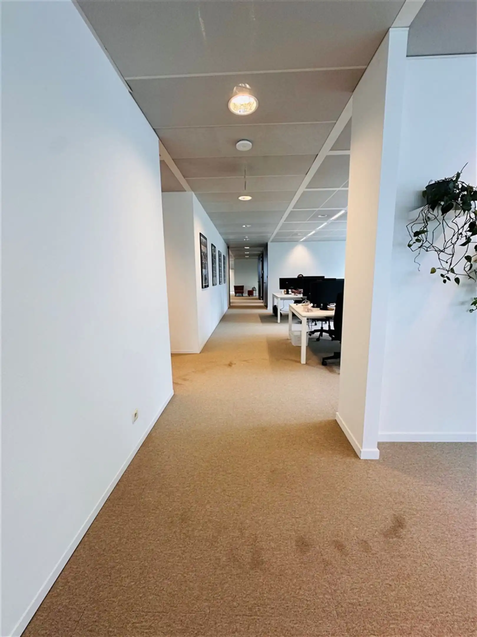 Kantoren aan het op- en afrittencomplex Gent-Zuid vanaf 437m² tot 2.136 m² foto 11