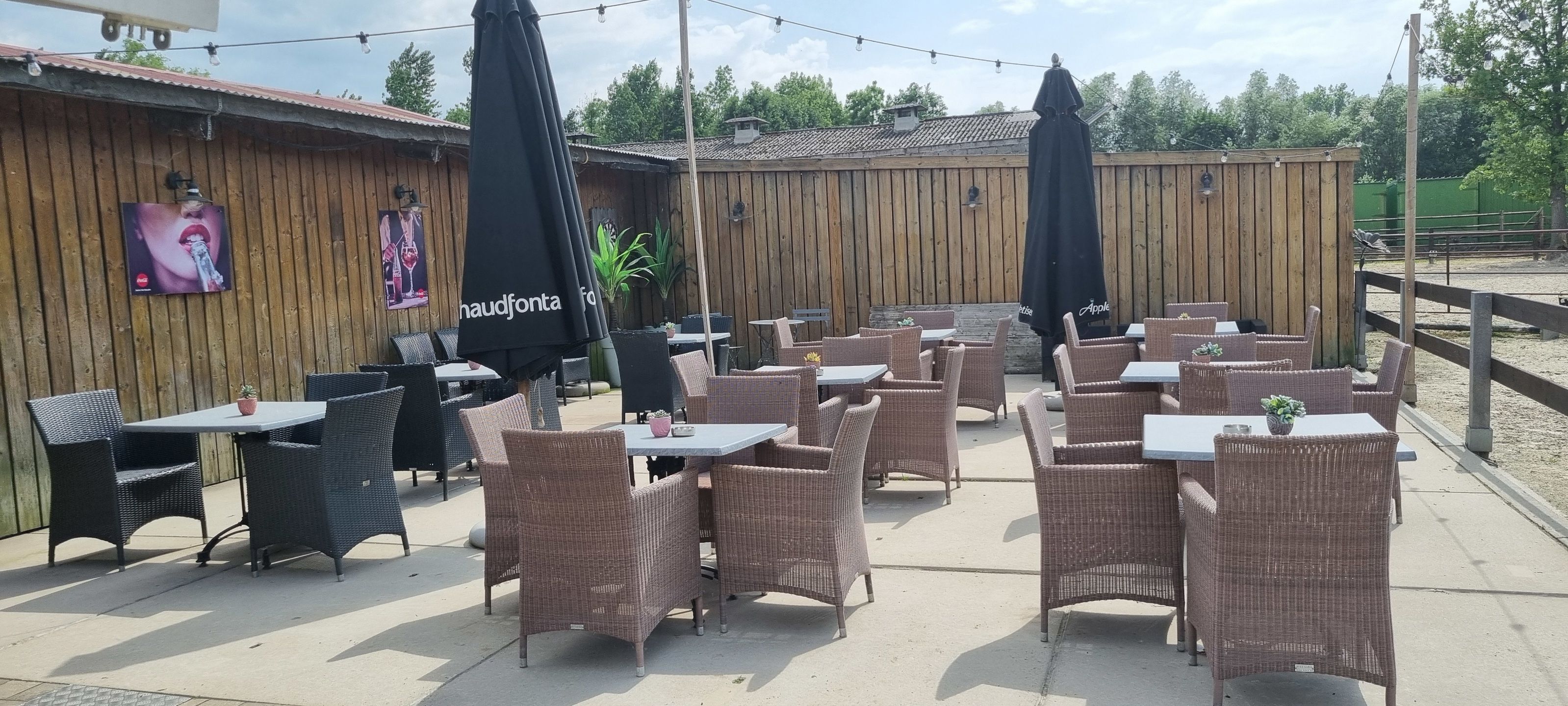 HASSELT (Kortessem) - Manege met veel potentieel! foto 11