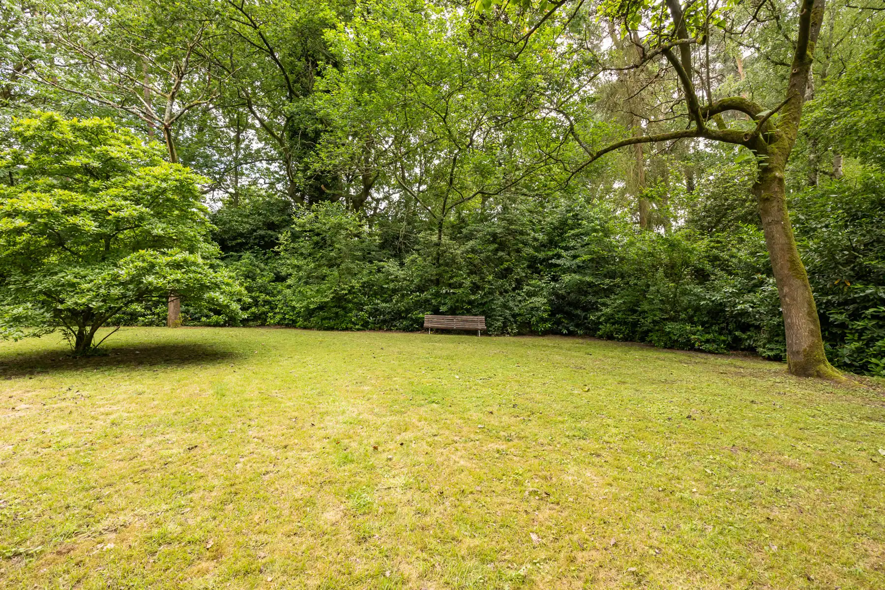 Hof Ter Linden volledig te renoveren villa op 2000 m² foto 2